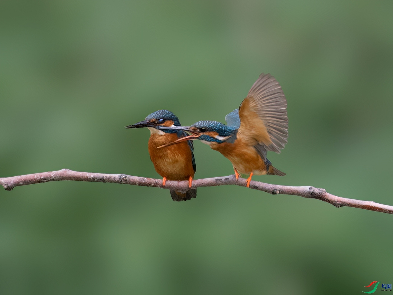 ���ְ�˹OM-1 150-400 f4.5 TC1.25x IS PRO