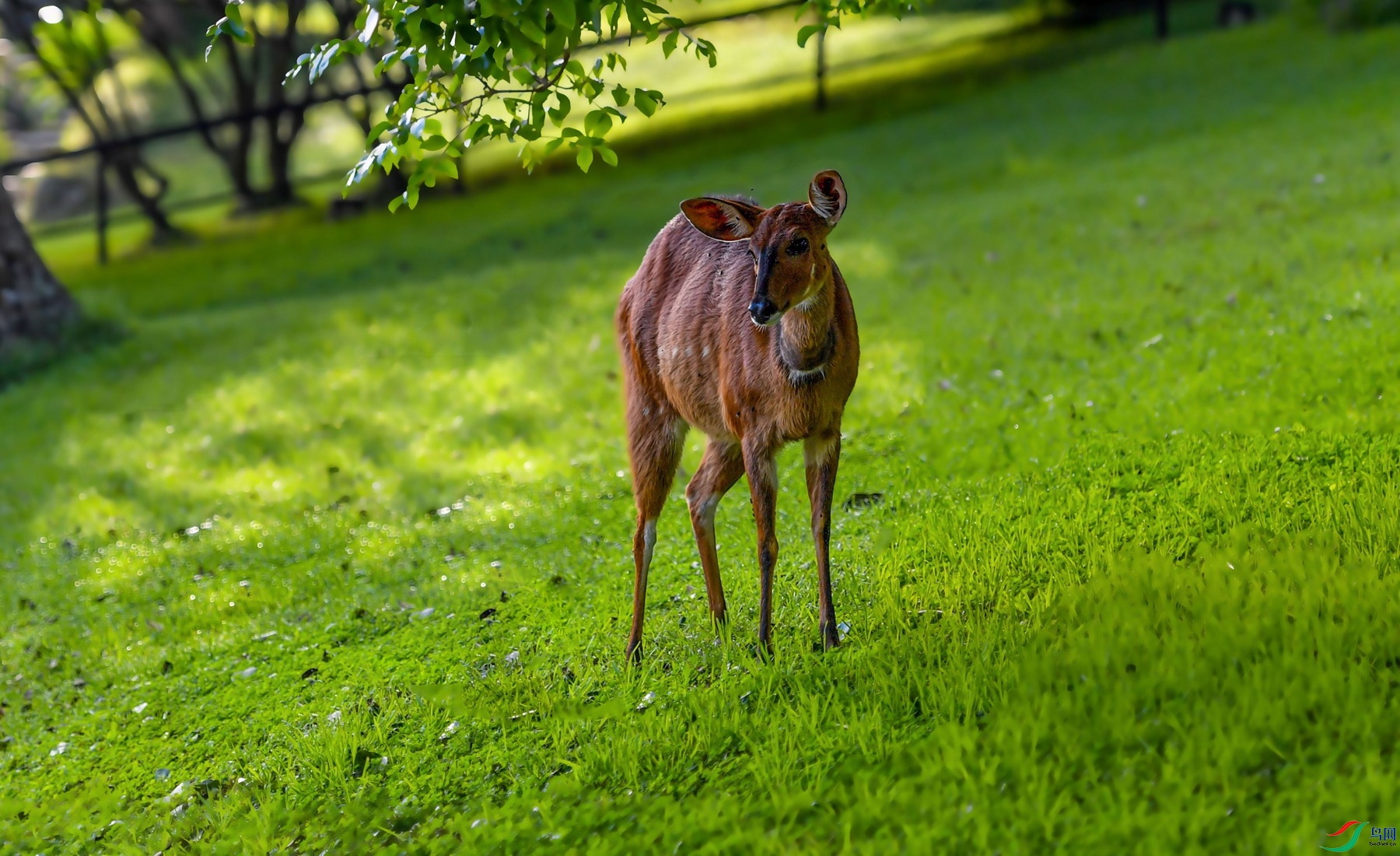 DSC_3214_����.jpg