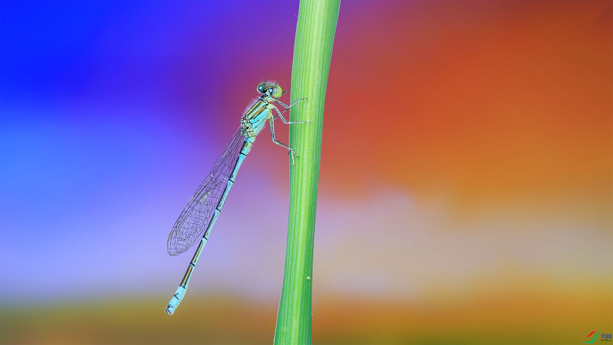 7G9A1554-1_����.jpg