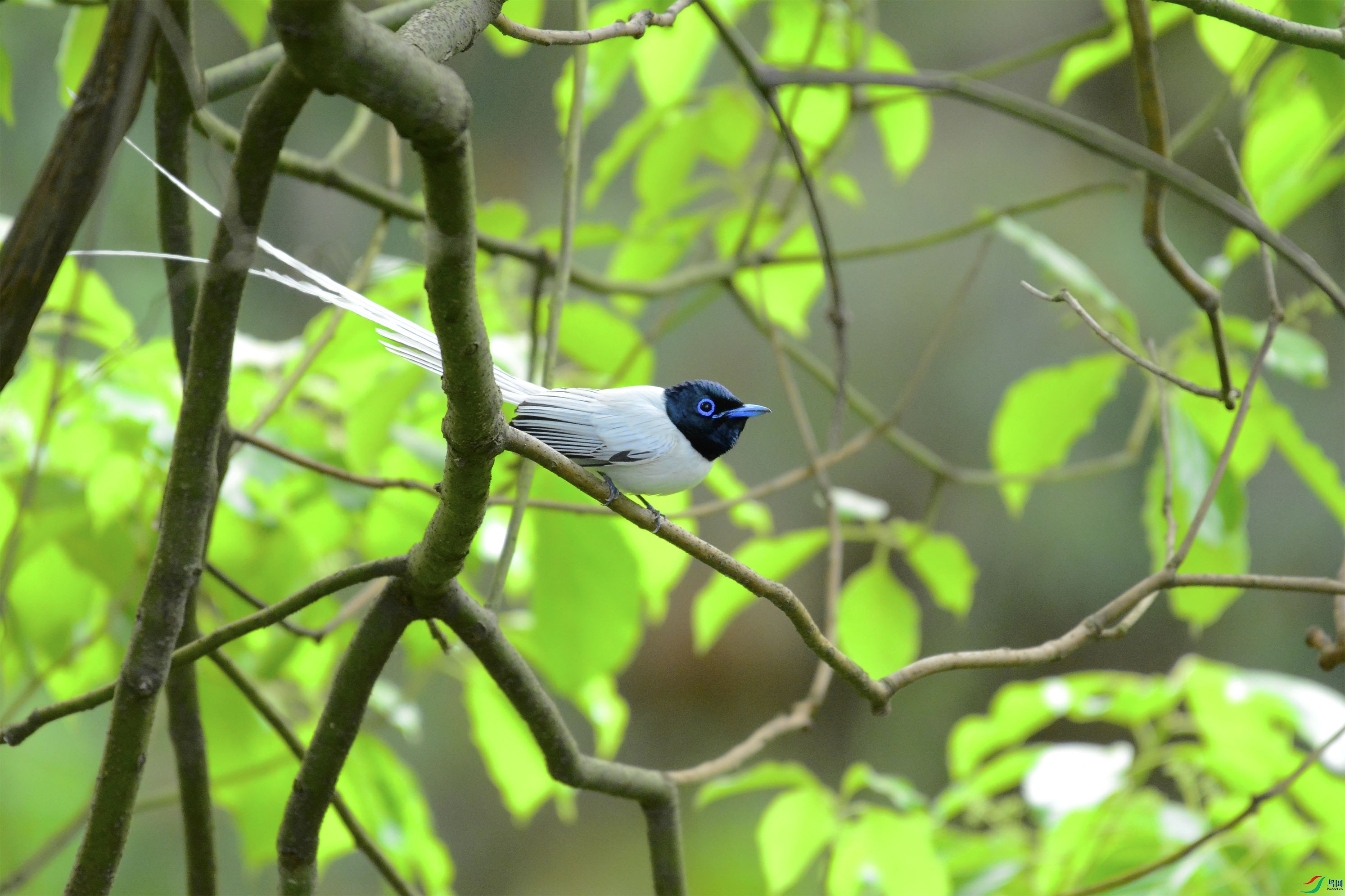 ����ȫ����