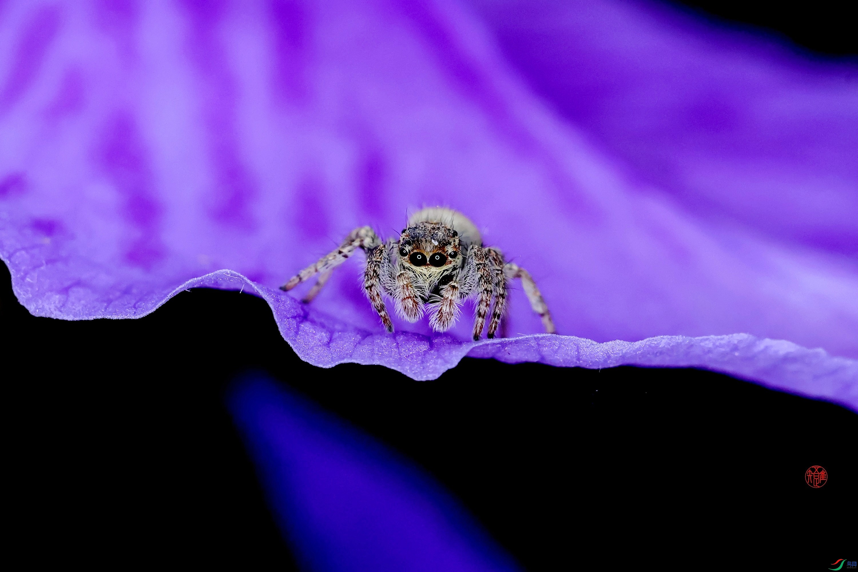 _23_4689 ����.jpg