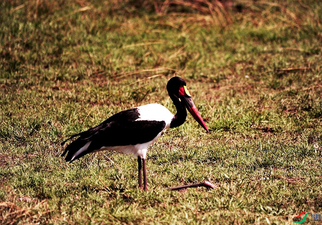 DSC_4334.jpg