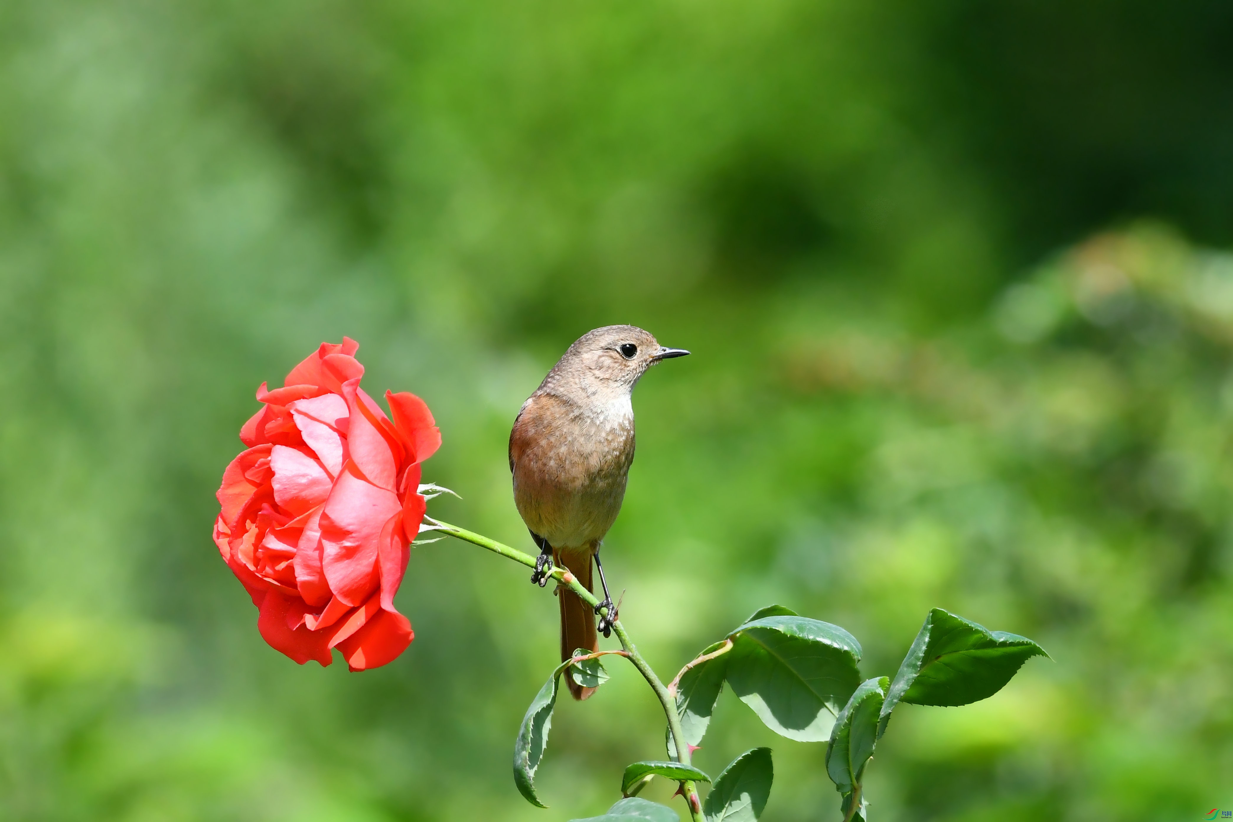 DSC_6641.JPG