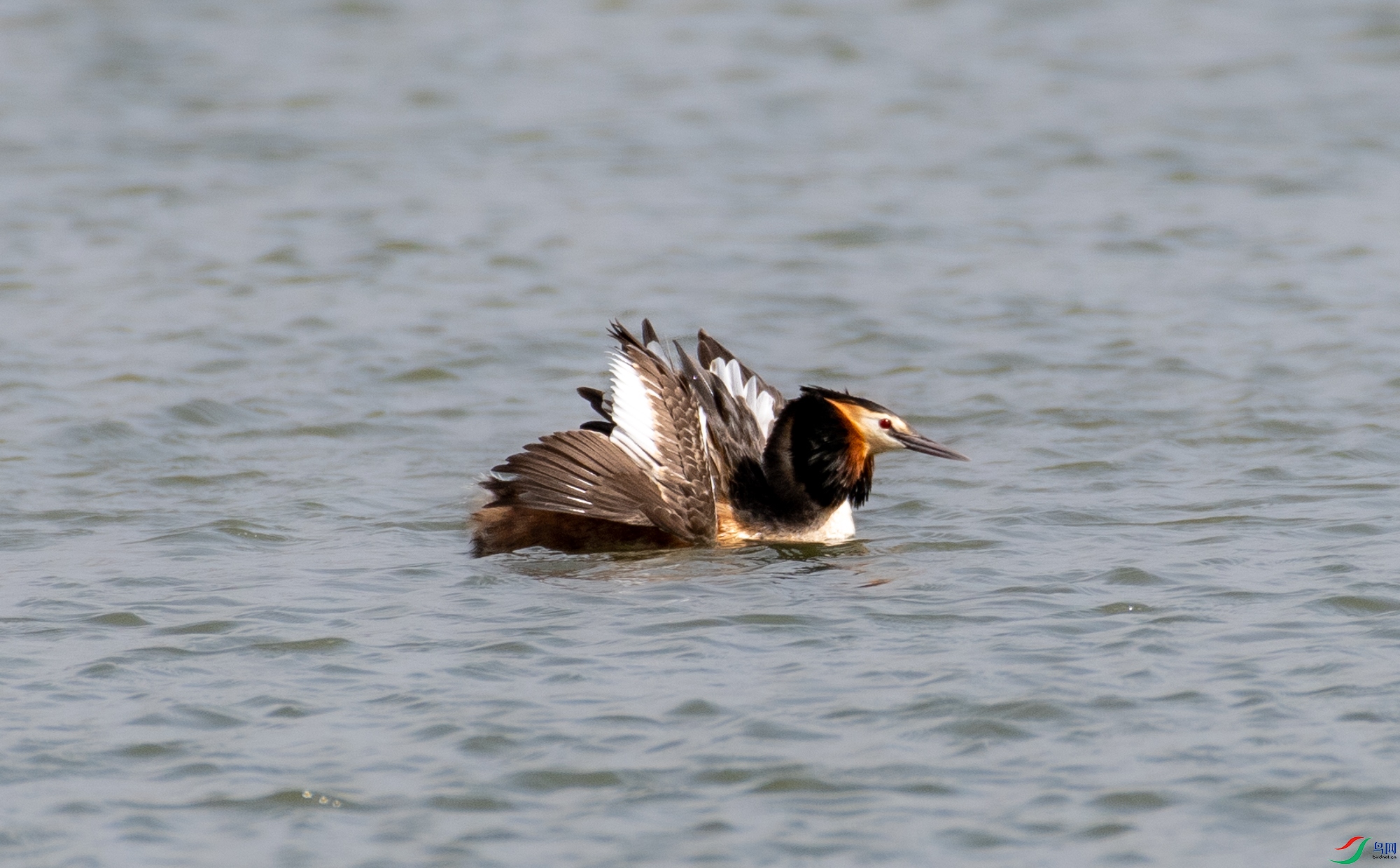 DSC_1662.jpg