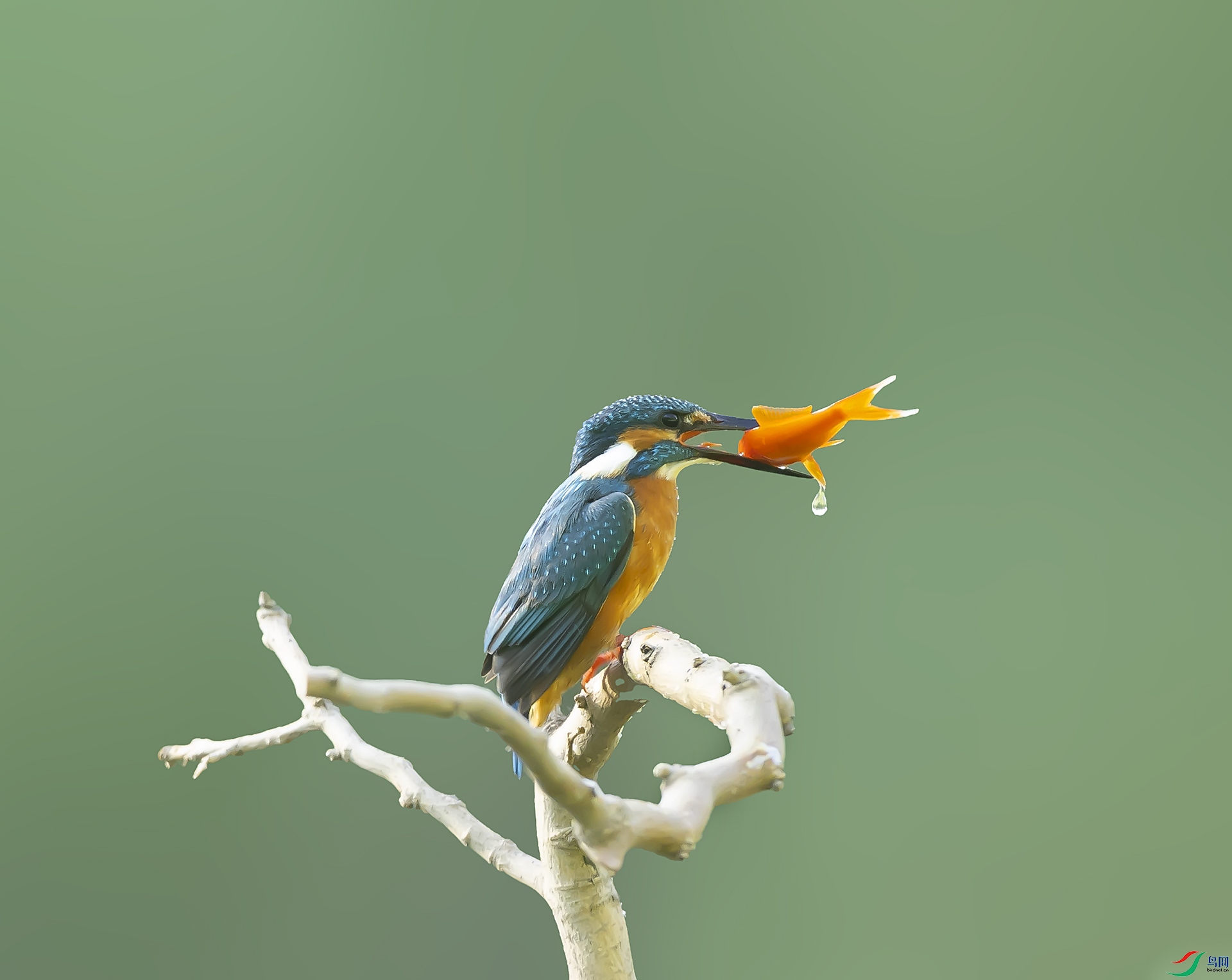 019A6066 ����.jpg