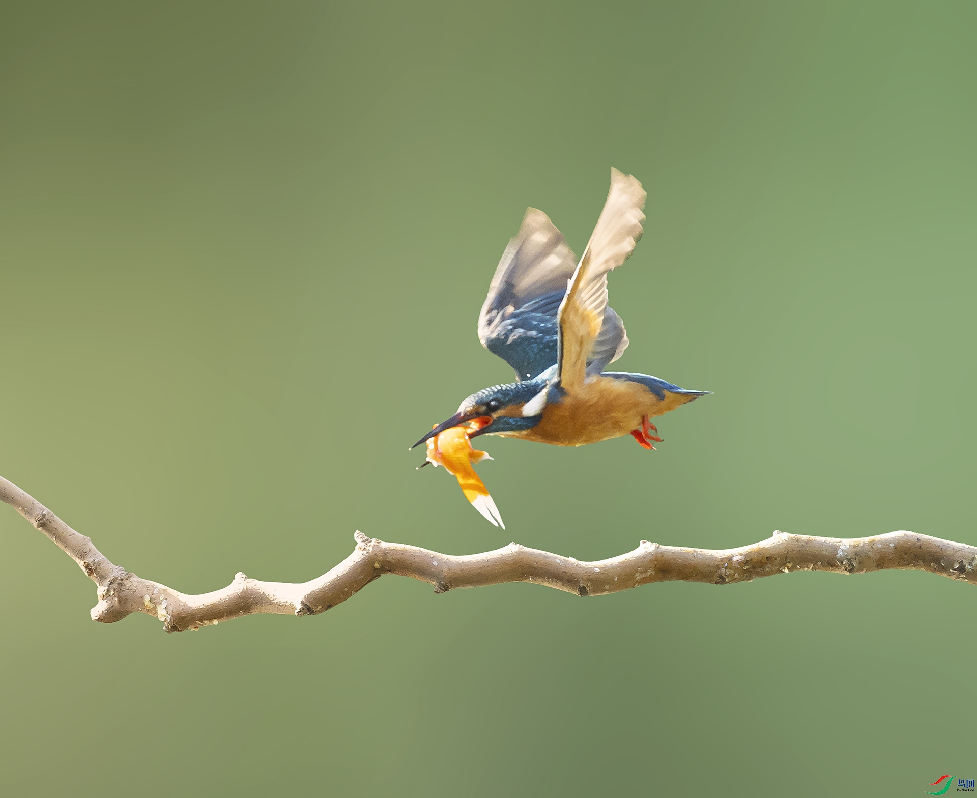 019A2903 ����.jpg