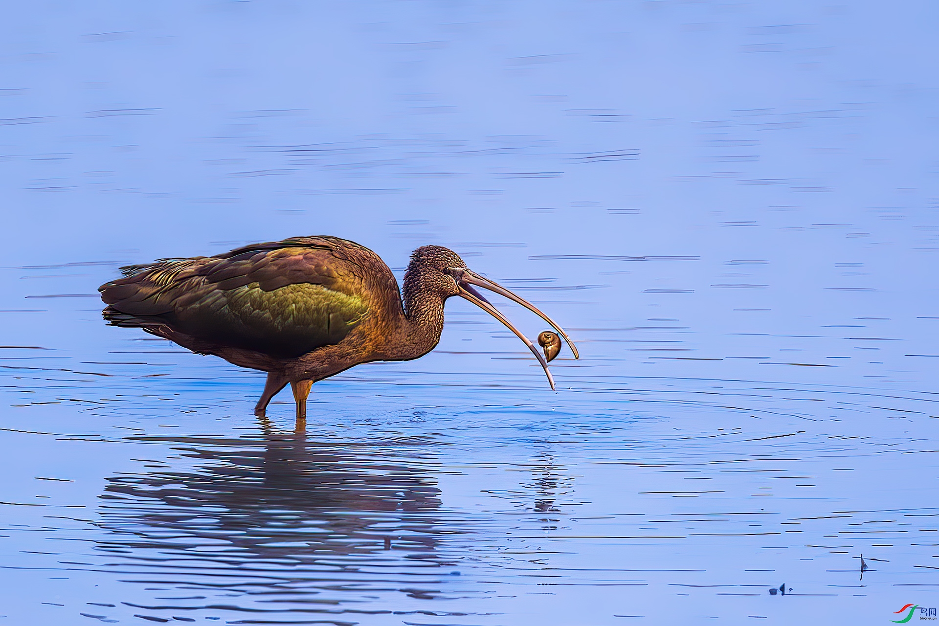_D5D8420-topaz-enhance-denoiseraw-sharpen.jpg