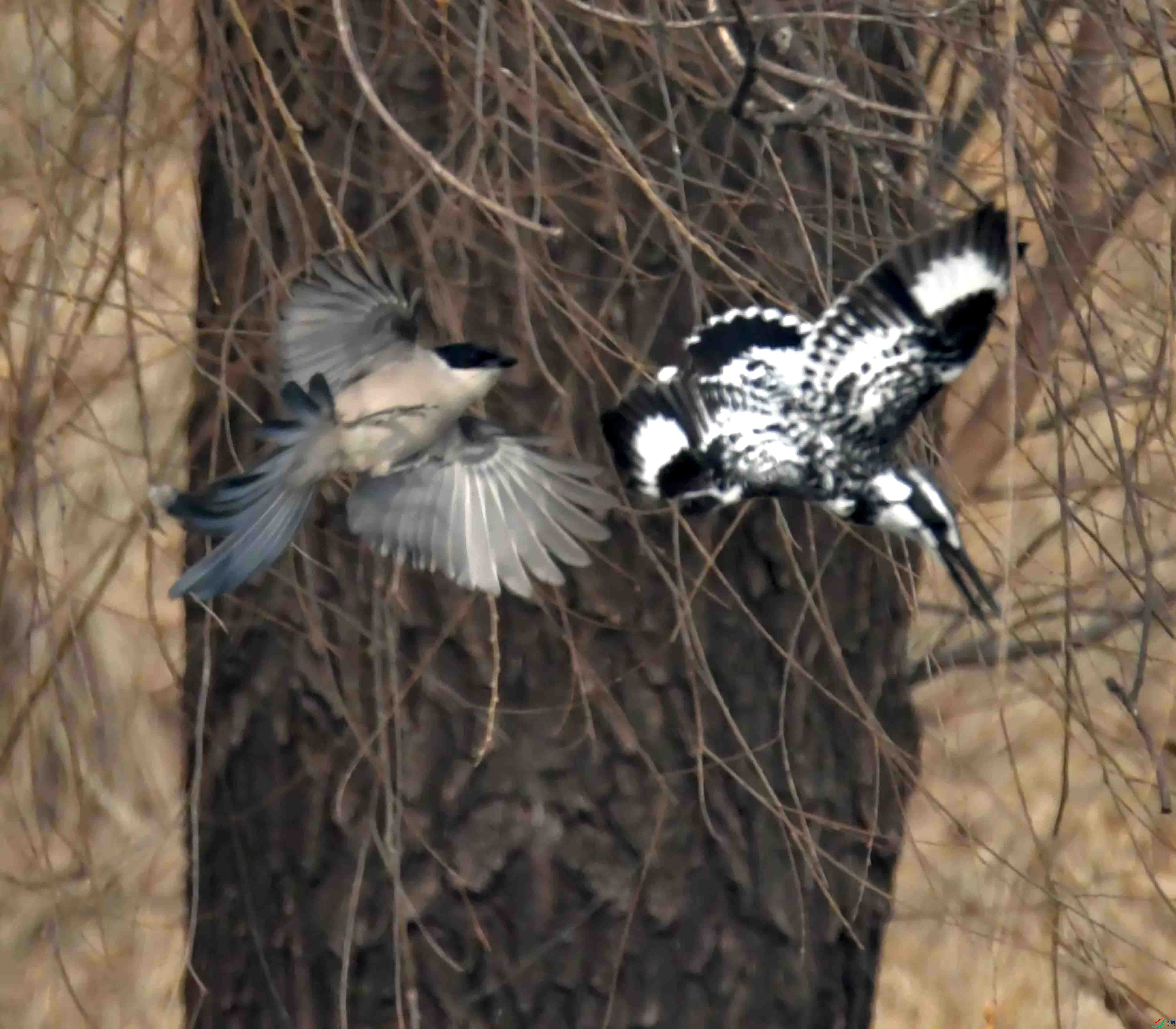 DSC_2835.JPG