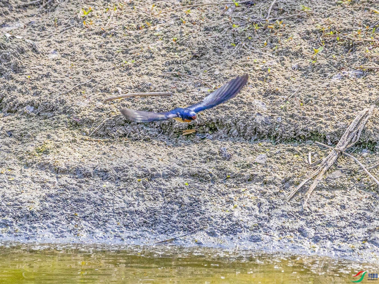 1K3A4793 ����1.jpg