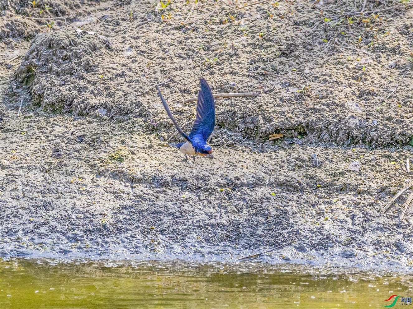 1K3A4790 ����1.jpg