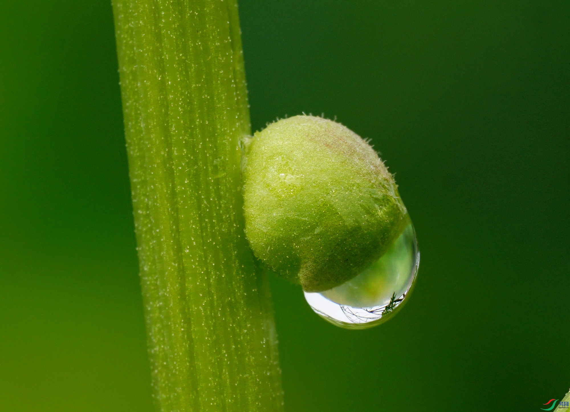 DSC03257 - ����.jpeg