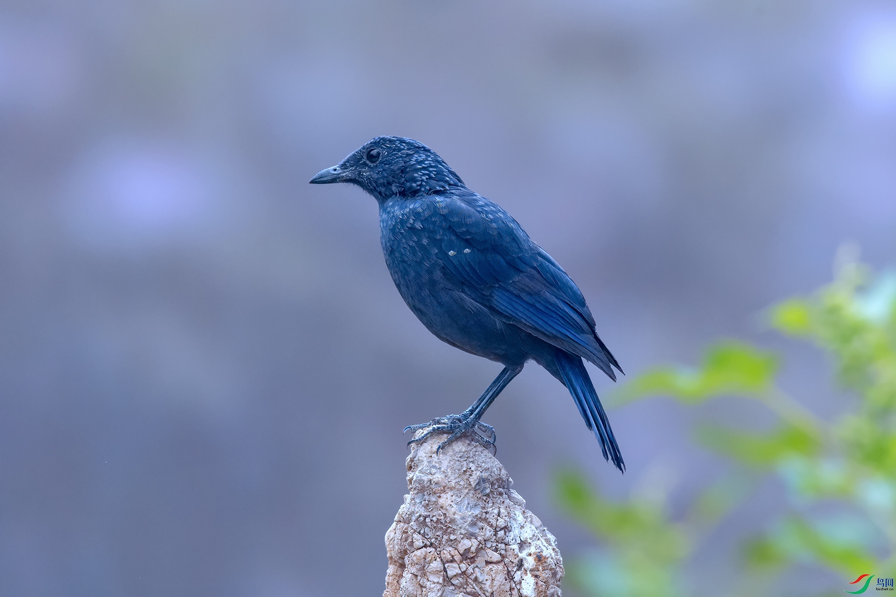 3DSC_7565_DxOa.jpg