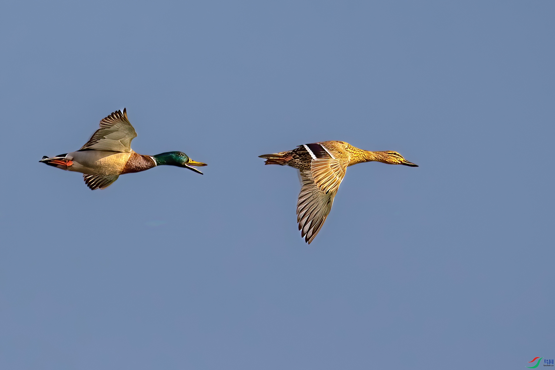 IMG_8796.jpg