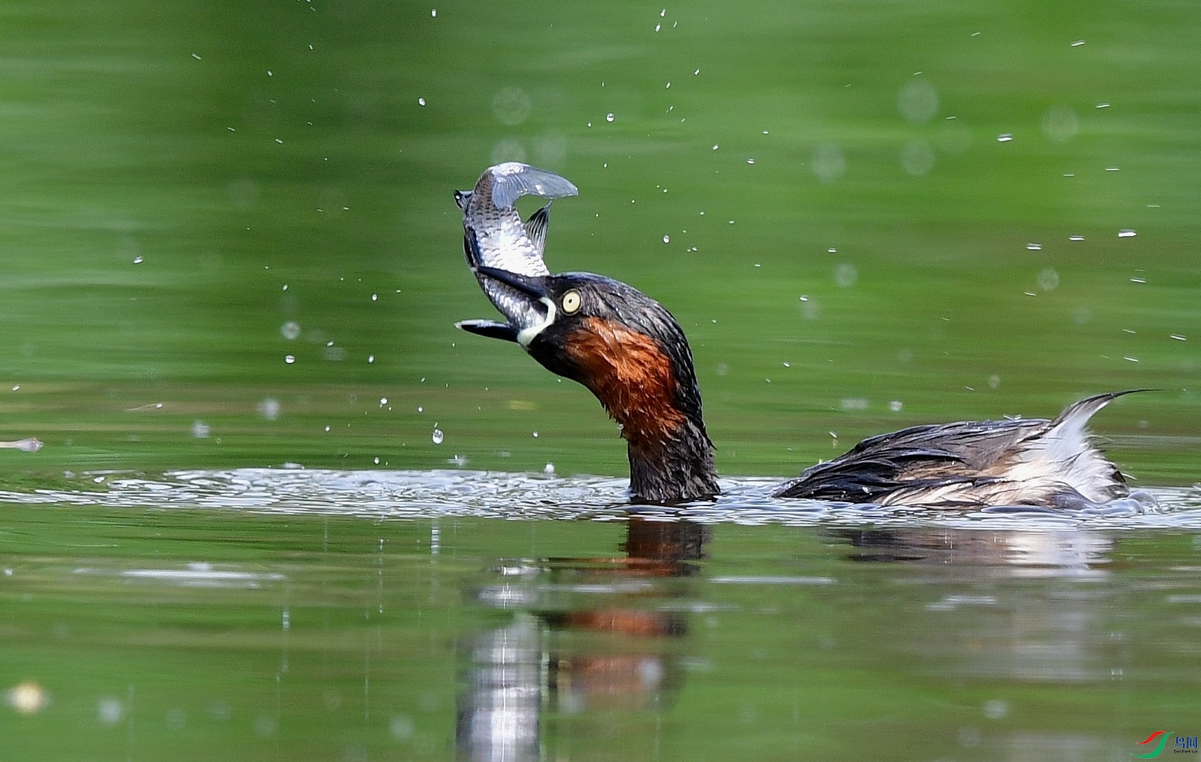 DSC_6169_conew3.jpg