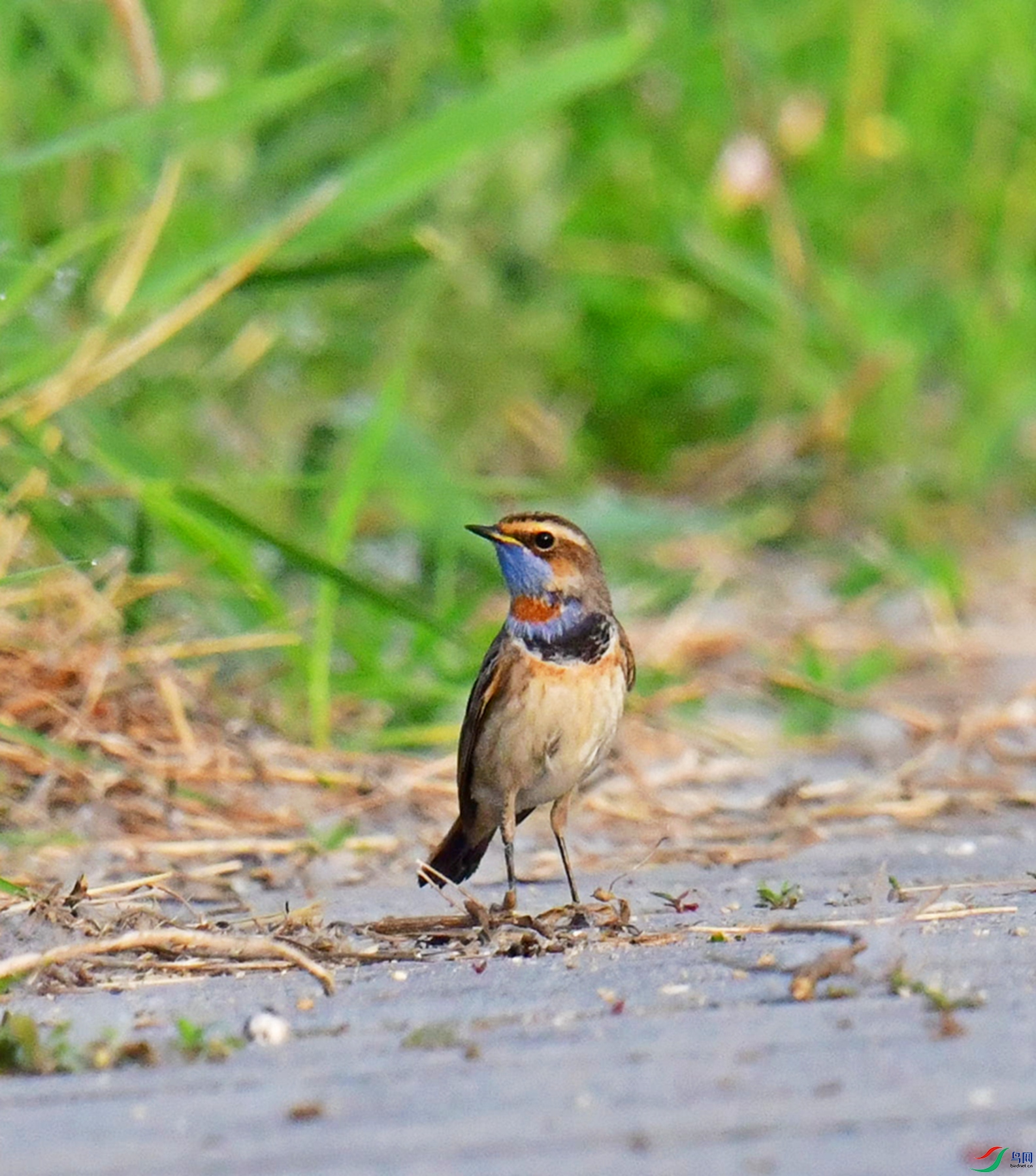 DSC_6104.jpg