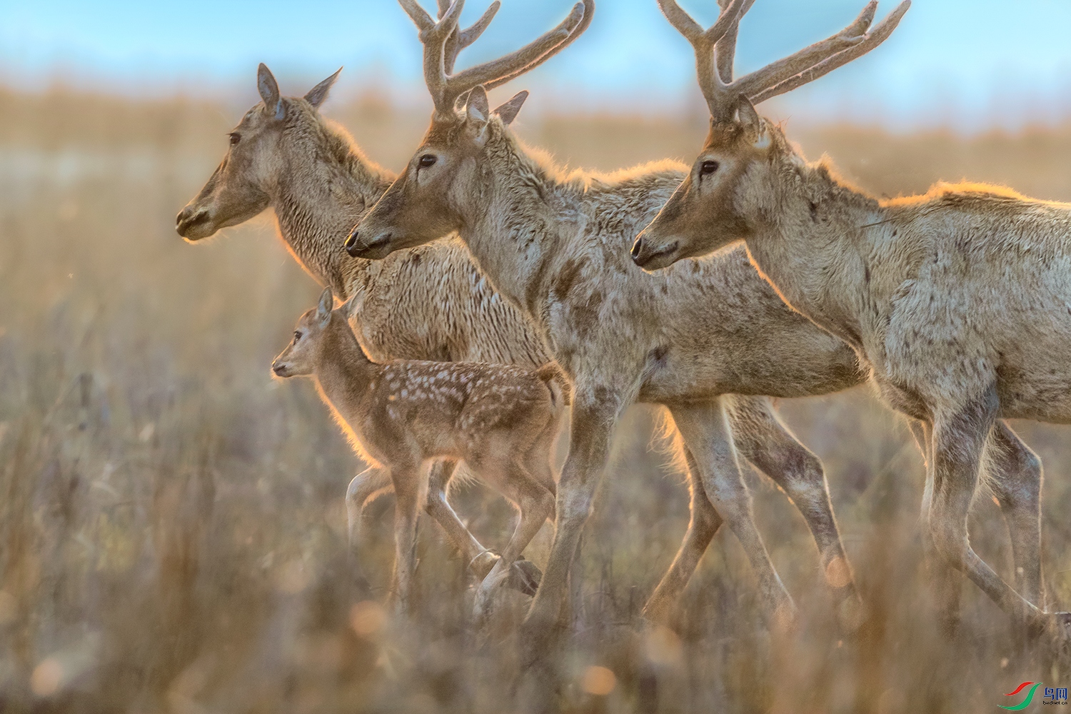 ��¹----�ǻ��м�