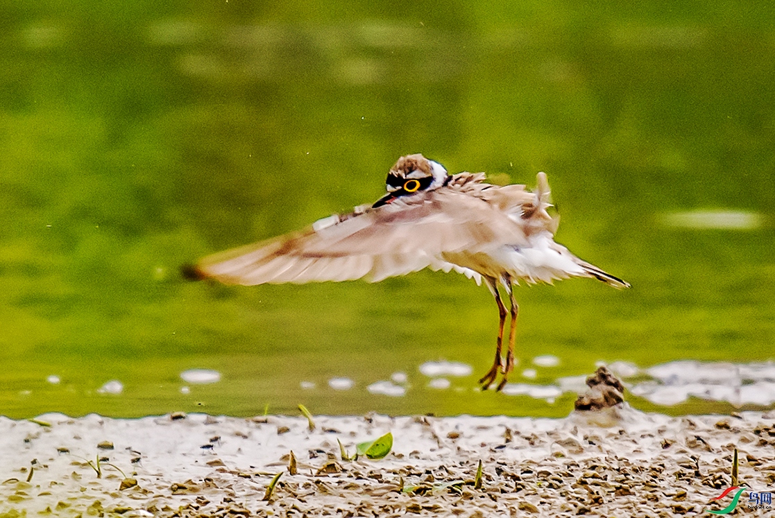 DSC_0158.jpg
