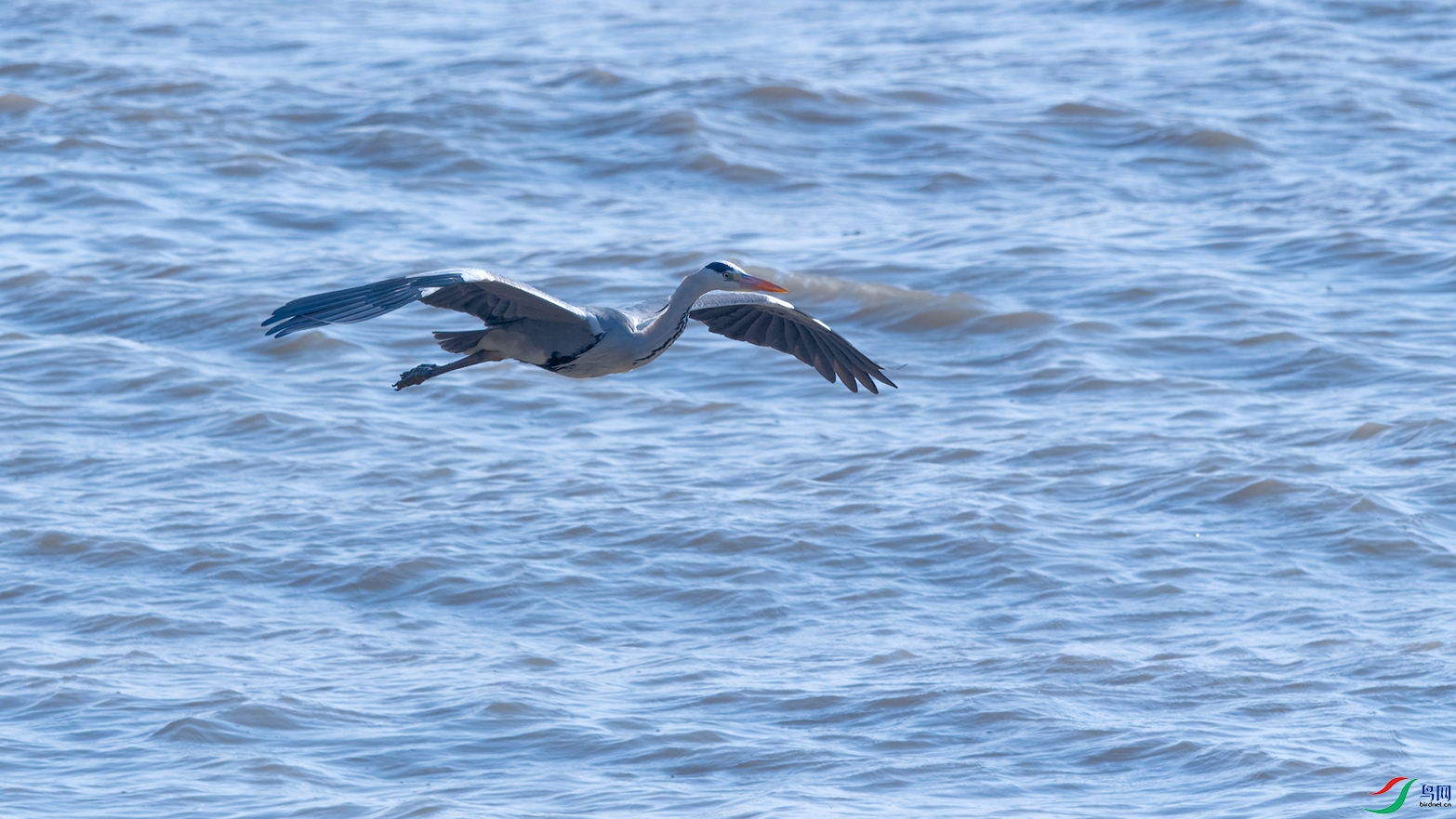 DSC_9108_DxOa.jpg