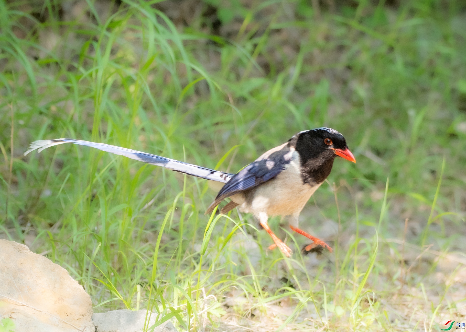 DSC_0552.jpg