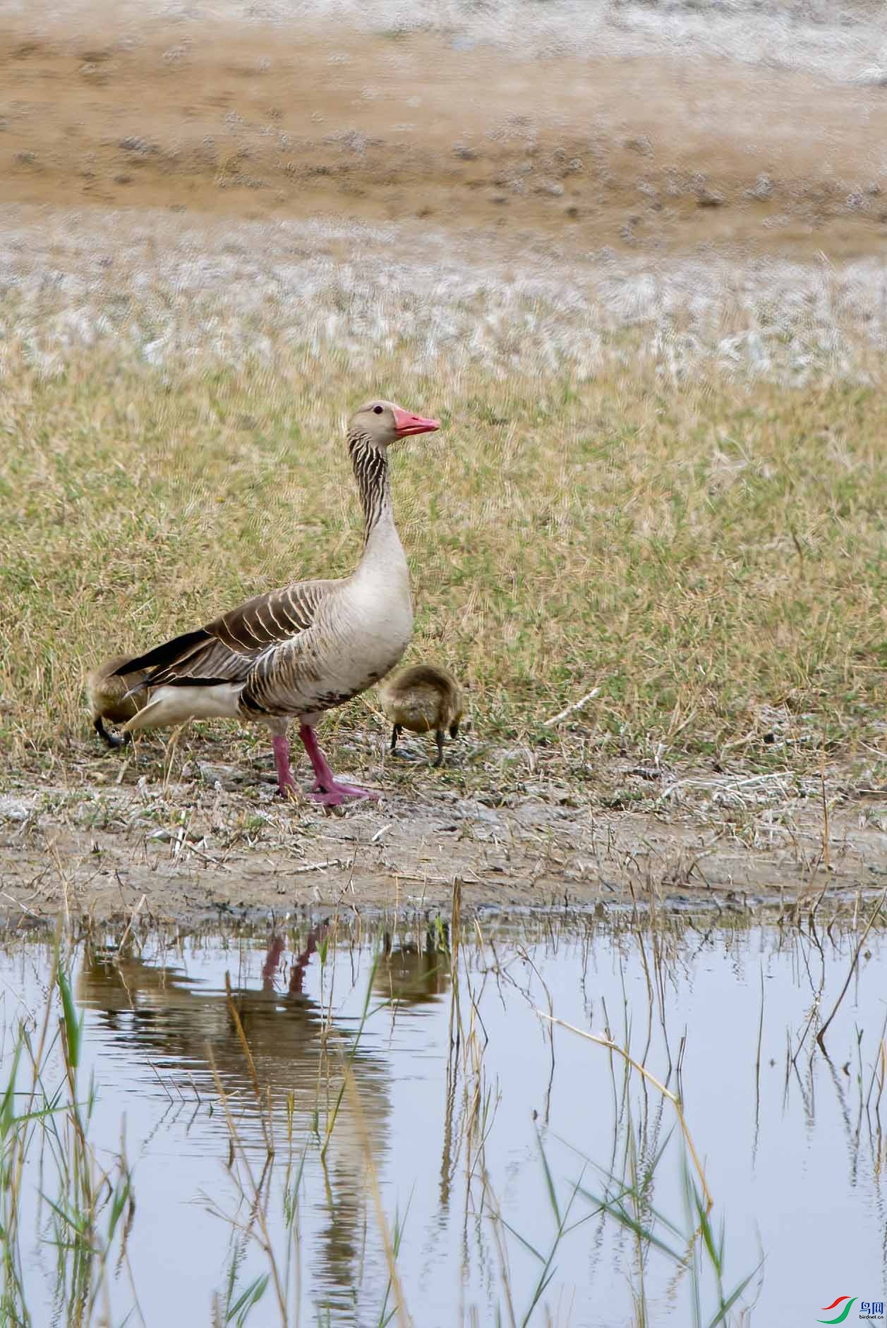 DSC_0049.jpg