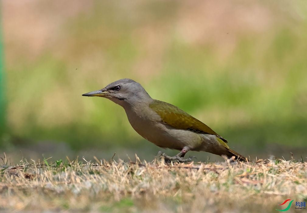 A62I3002.JPG