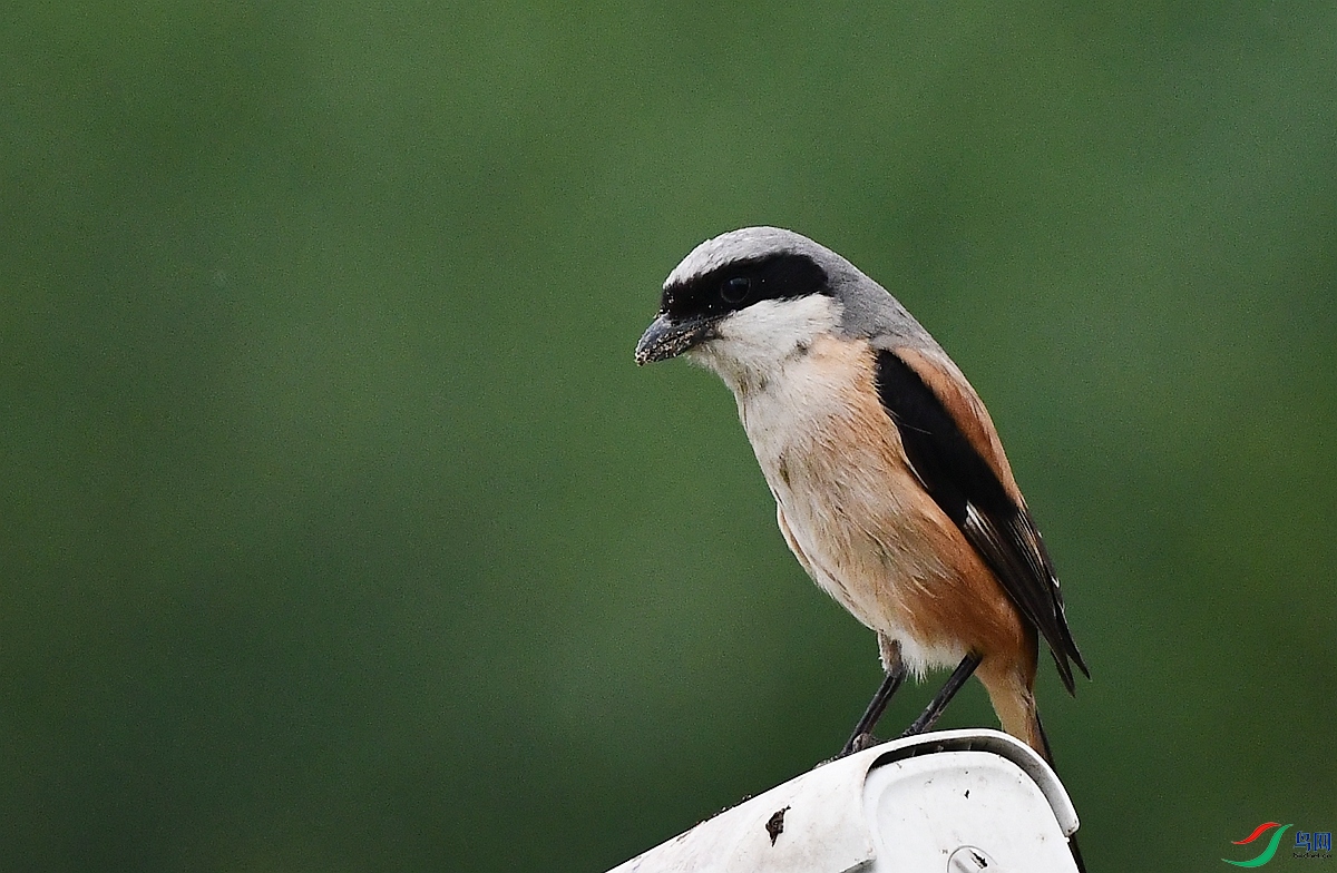 DSC_2185.JPG