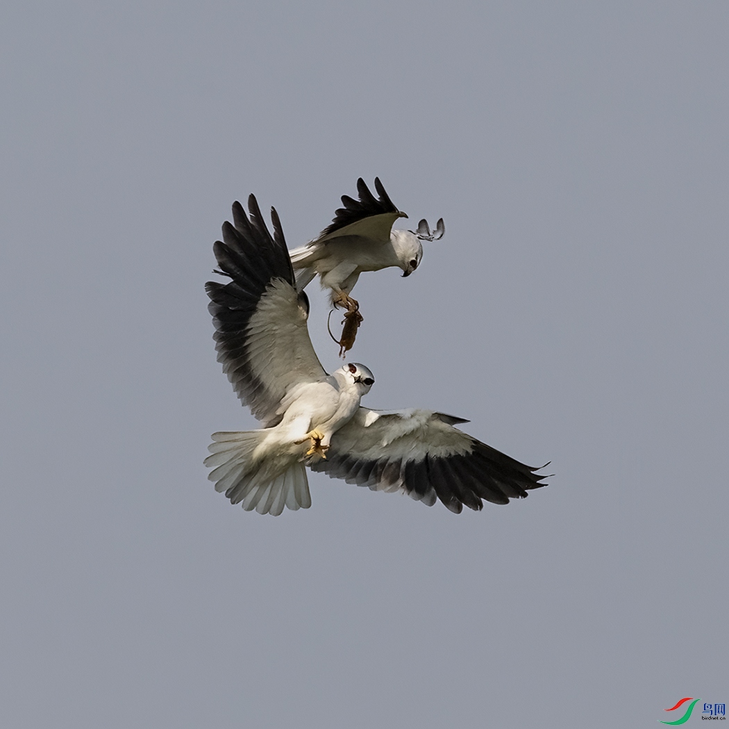 A46I0154 ����.jpg2.jpg