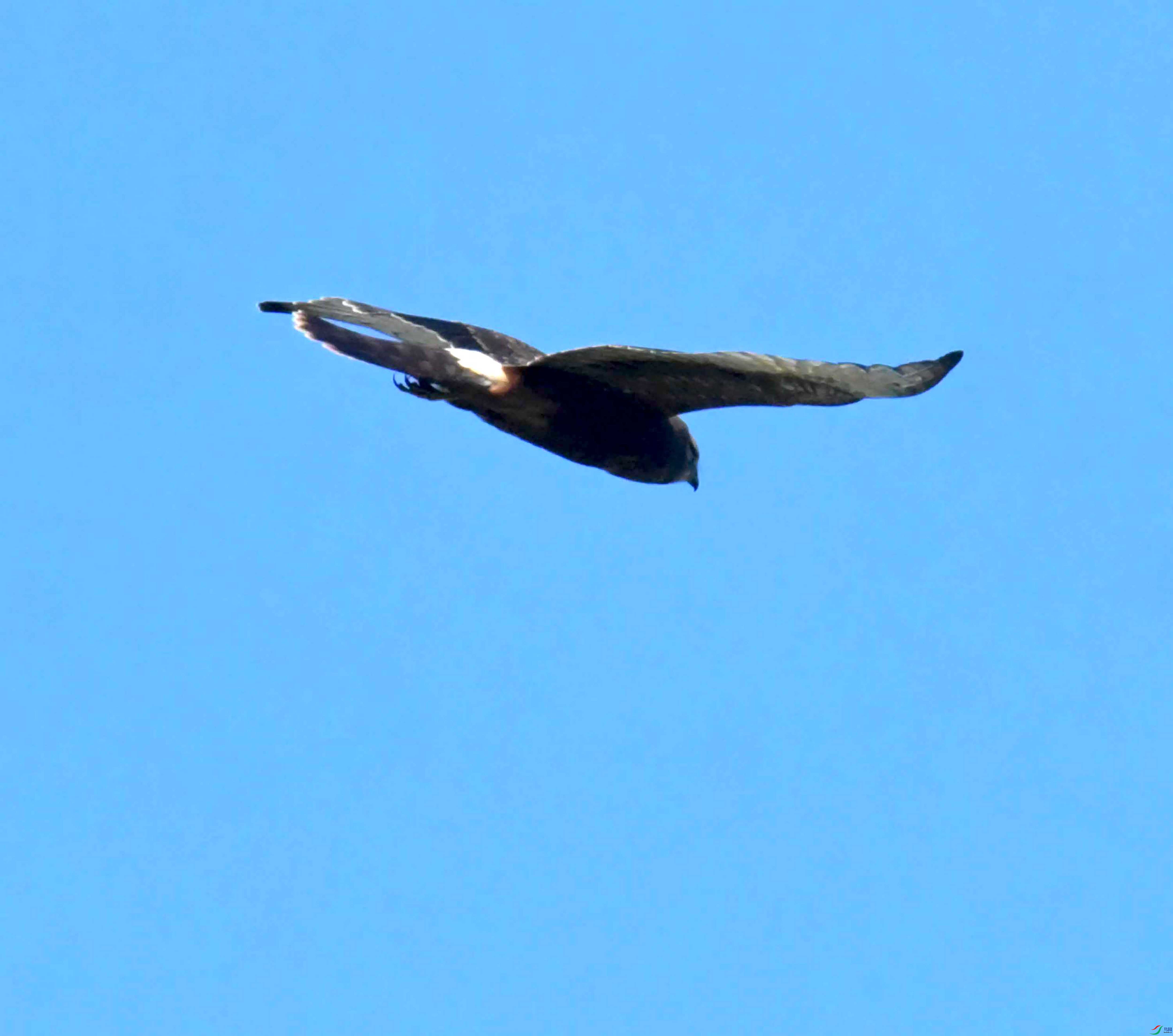 DSC_4245.JPG