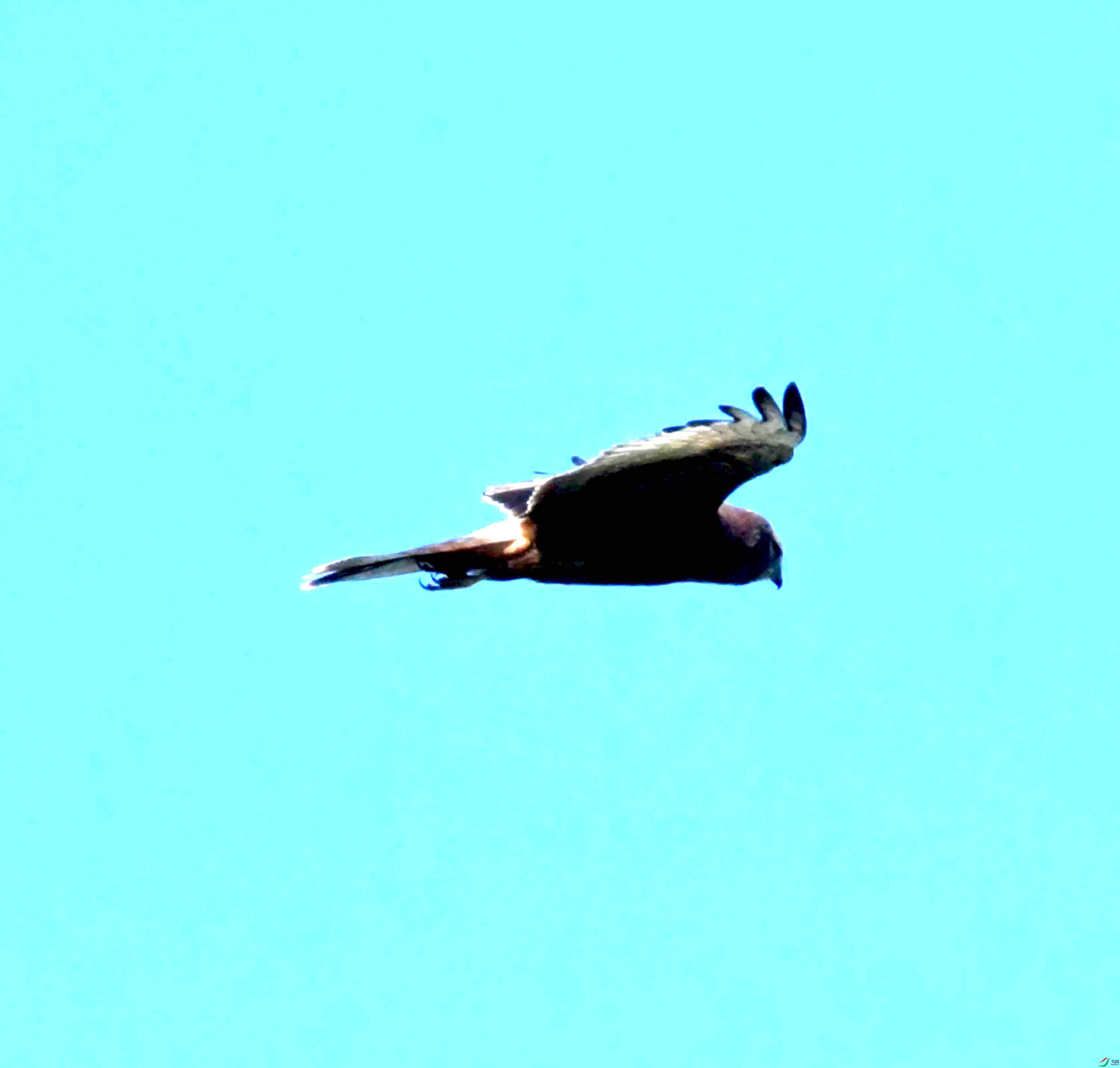 DSC_4248.JPG
