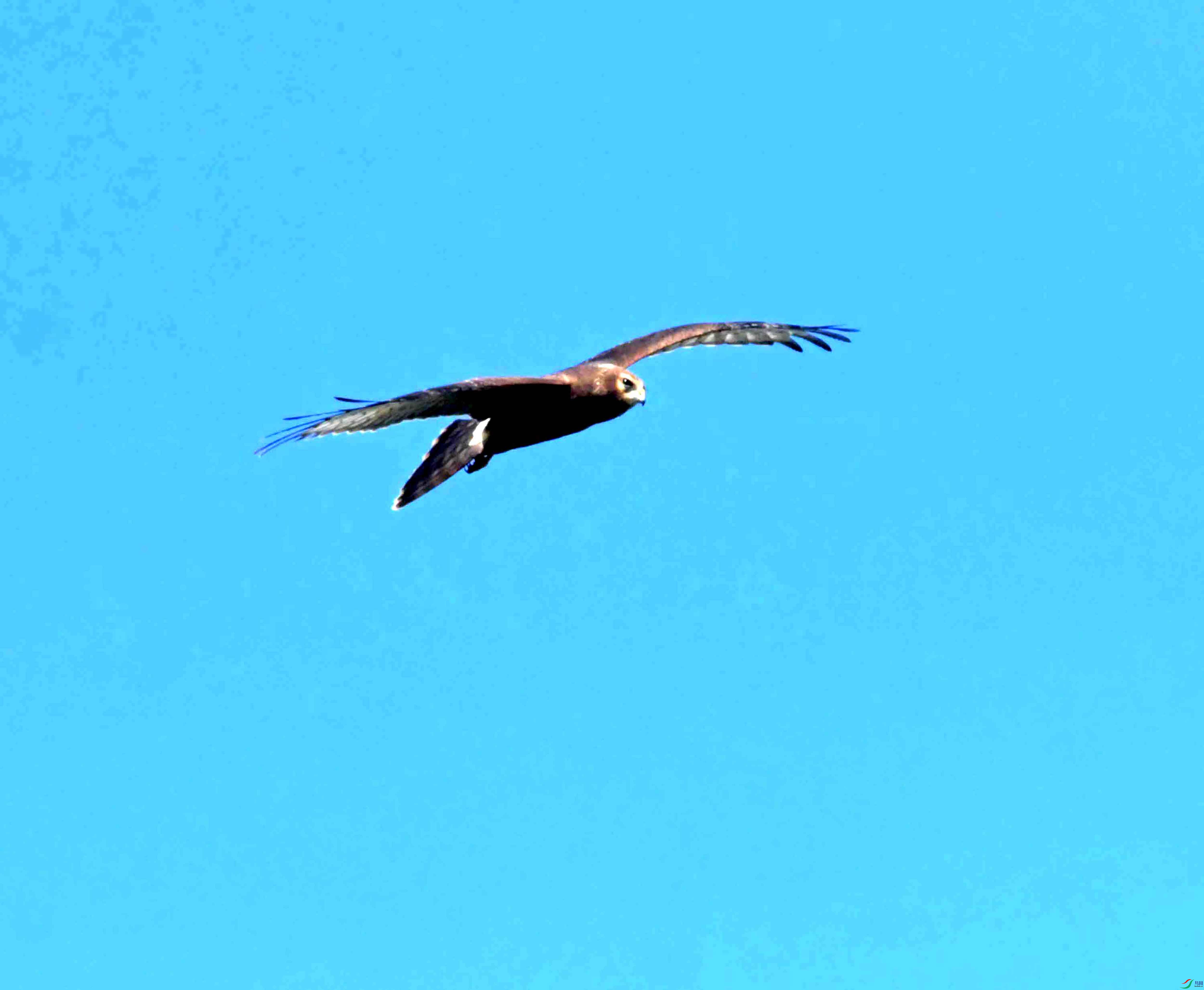 DSC_4249.JPG