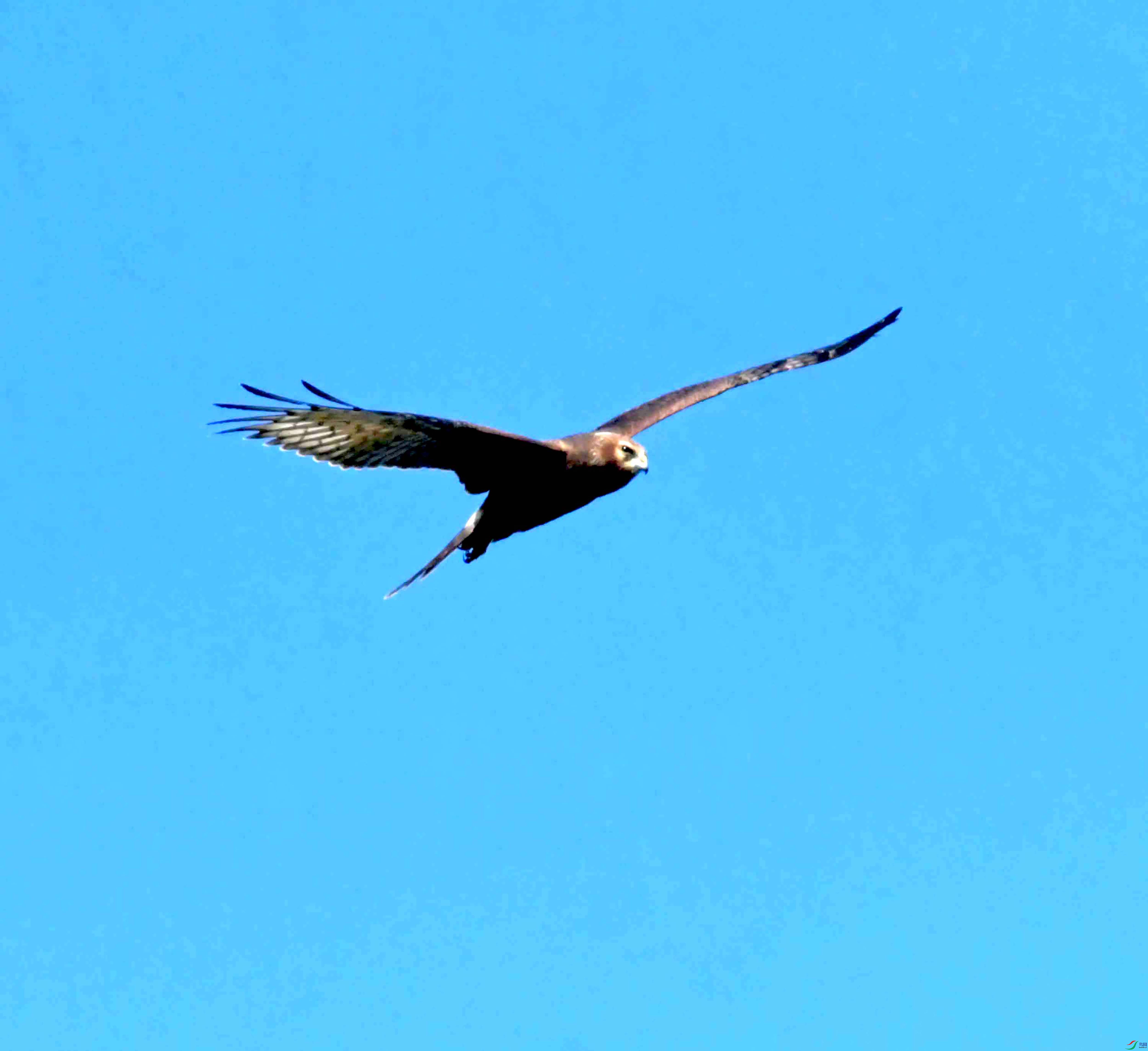 DSC_4251.JPG