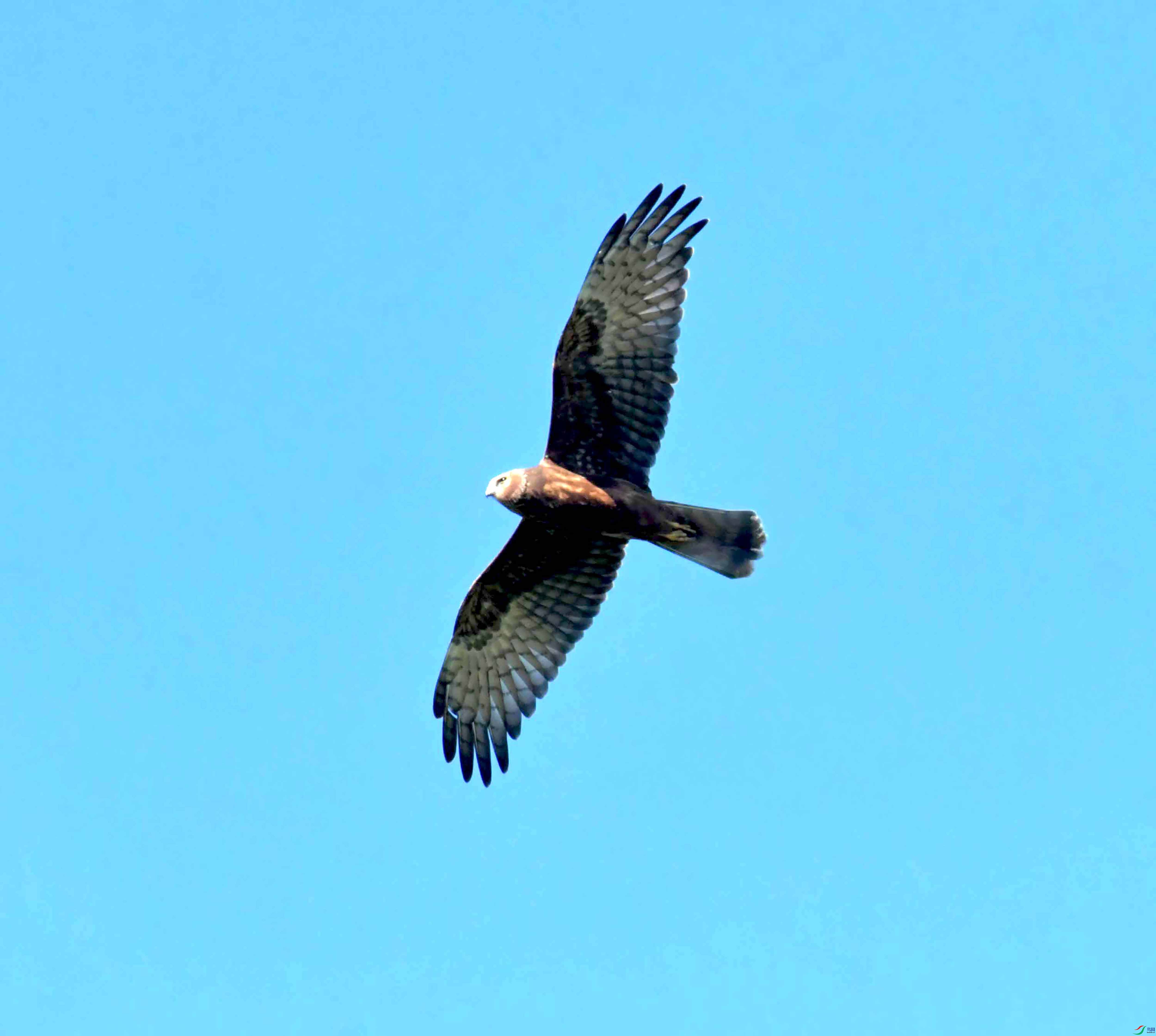 DSC_4257.JPG