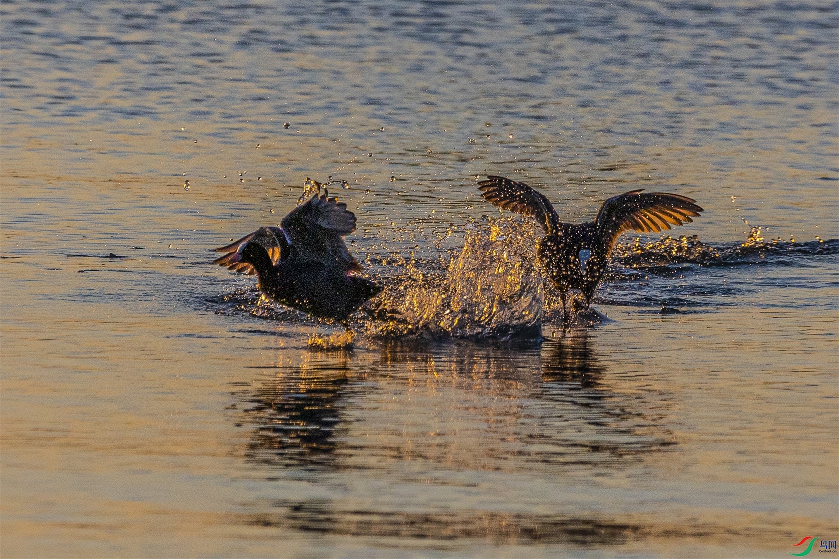 1K3A4001 ����1.jpg