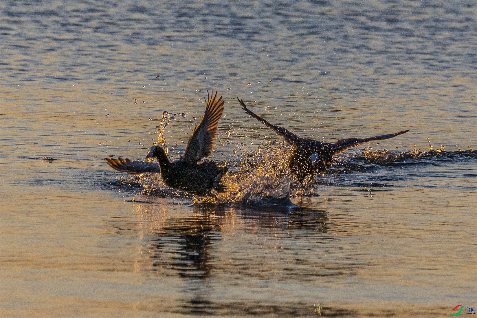 1K3A4000 ����1.jpg