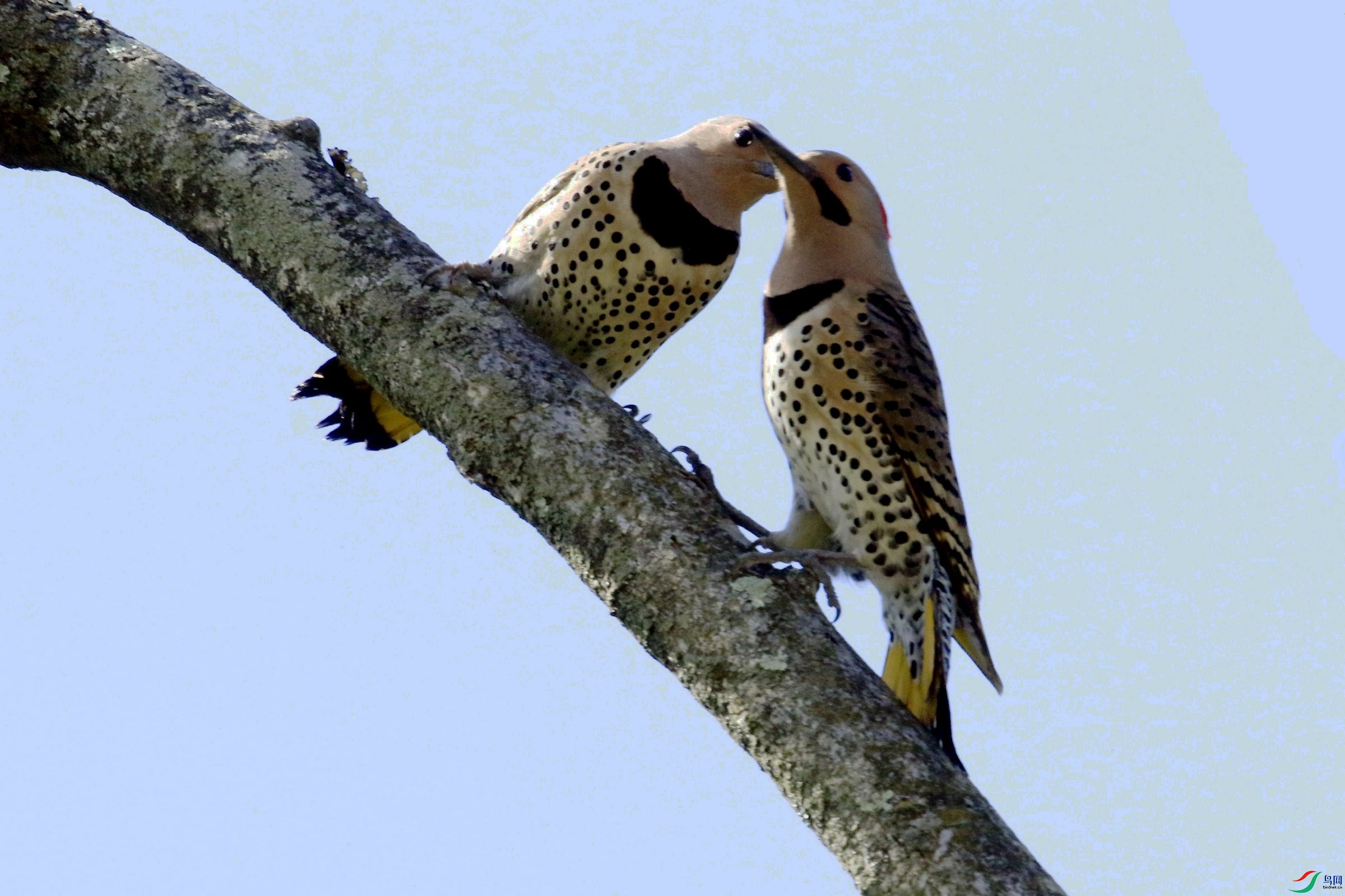 ���˳��� 02.jpg