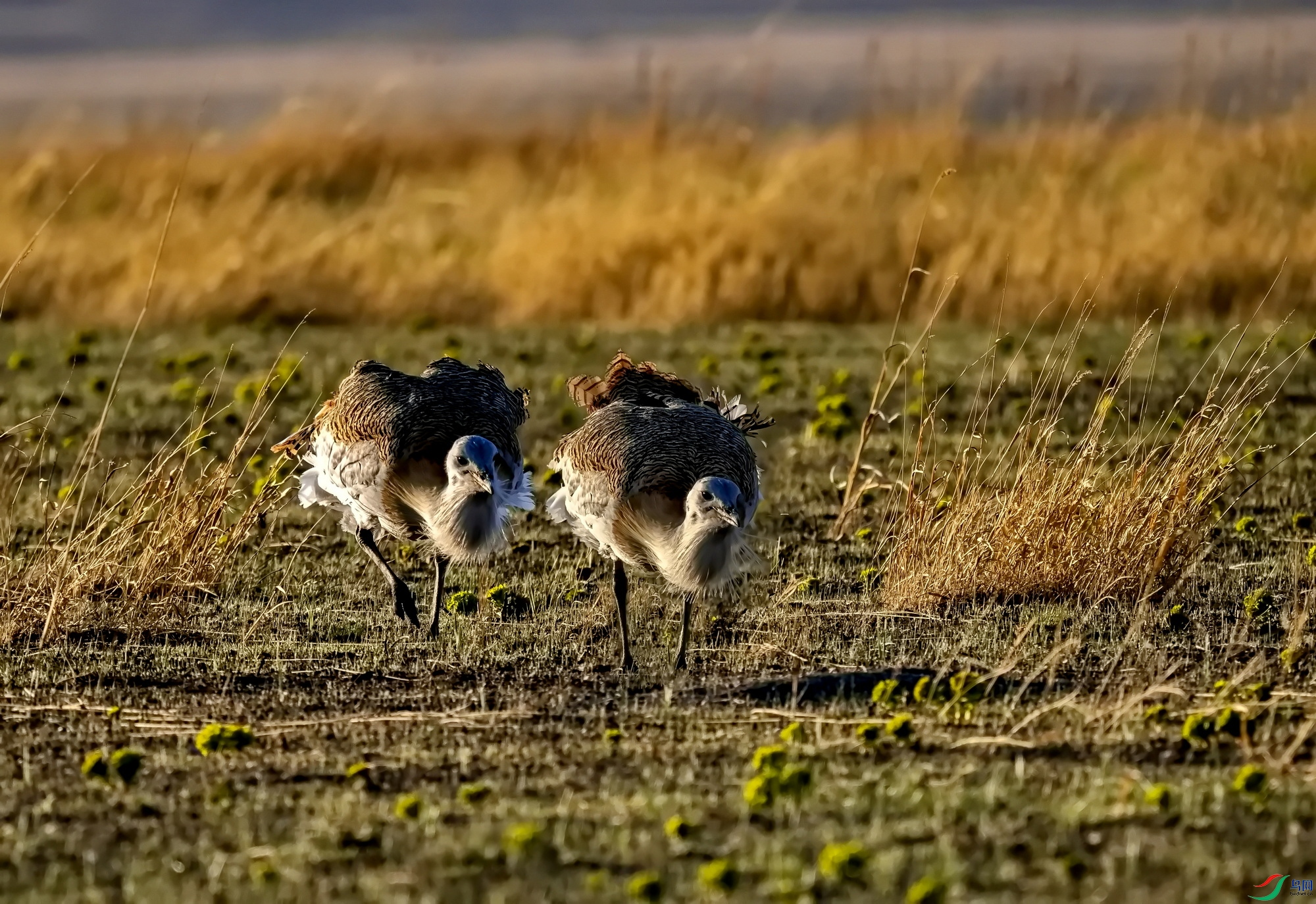 ��� ��11�� (242) -02-1.jpg