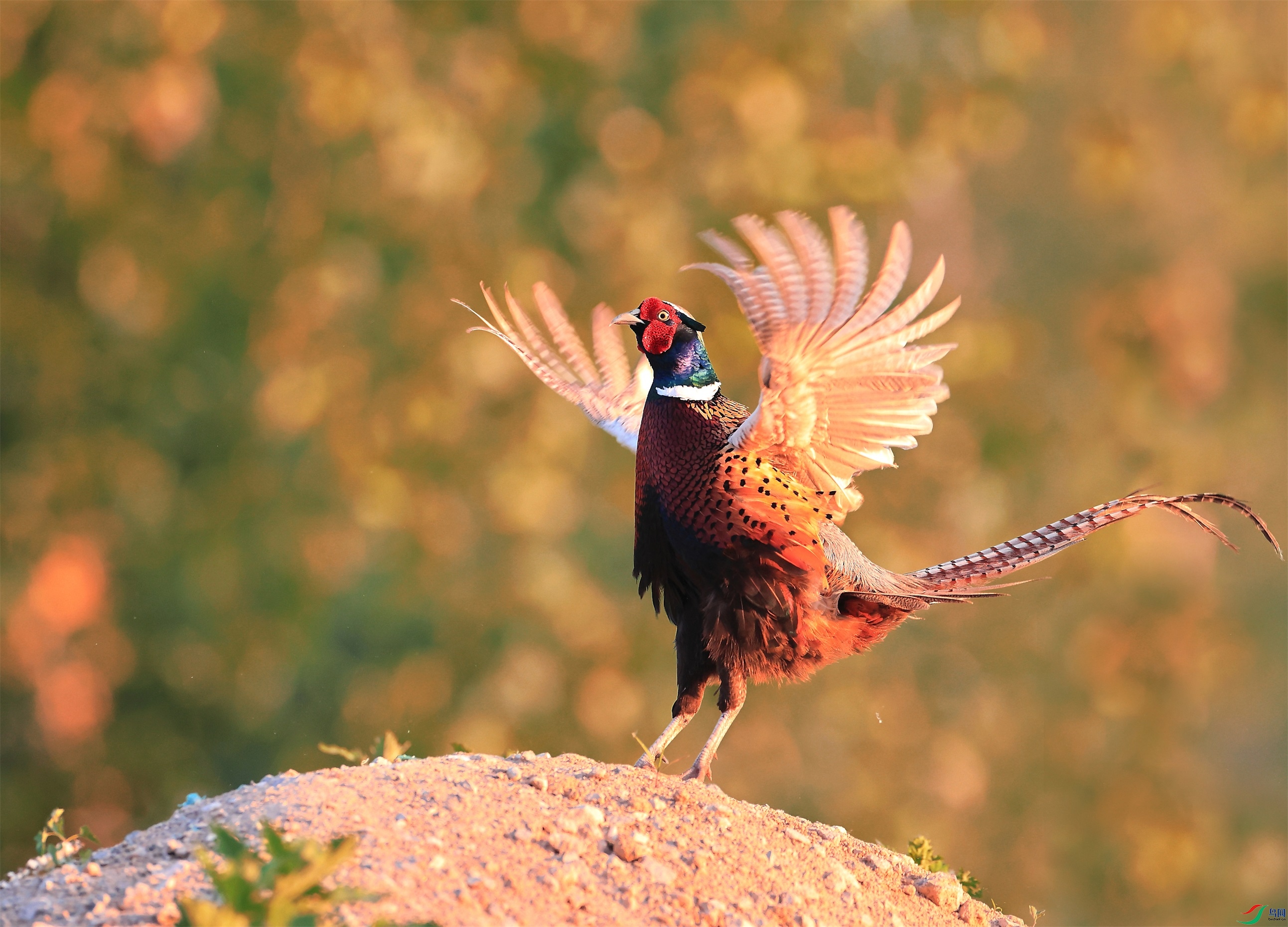 1 ���� - ���� (3).jpg