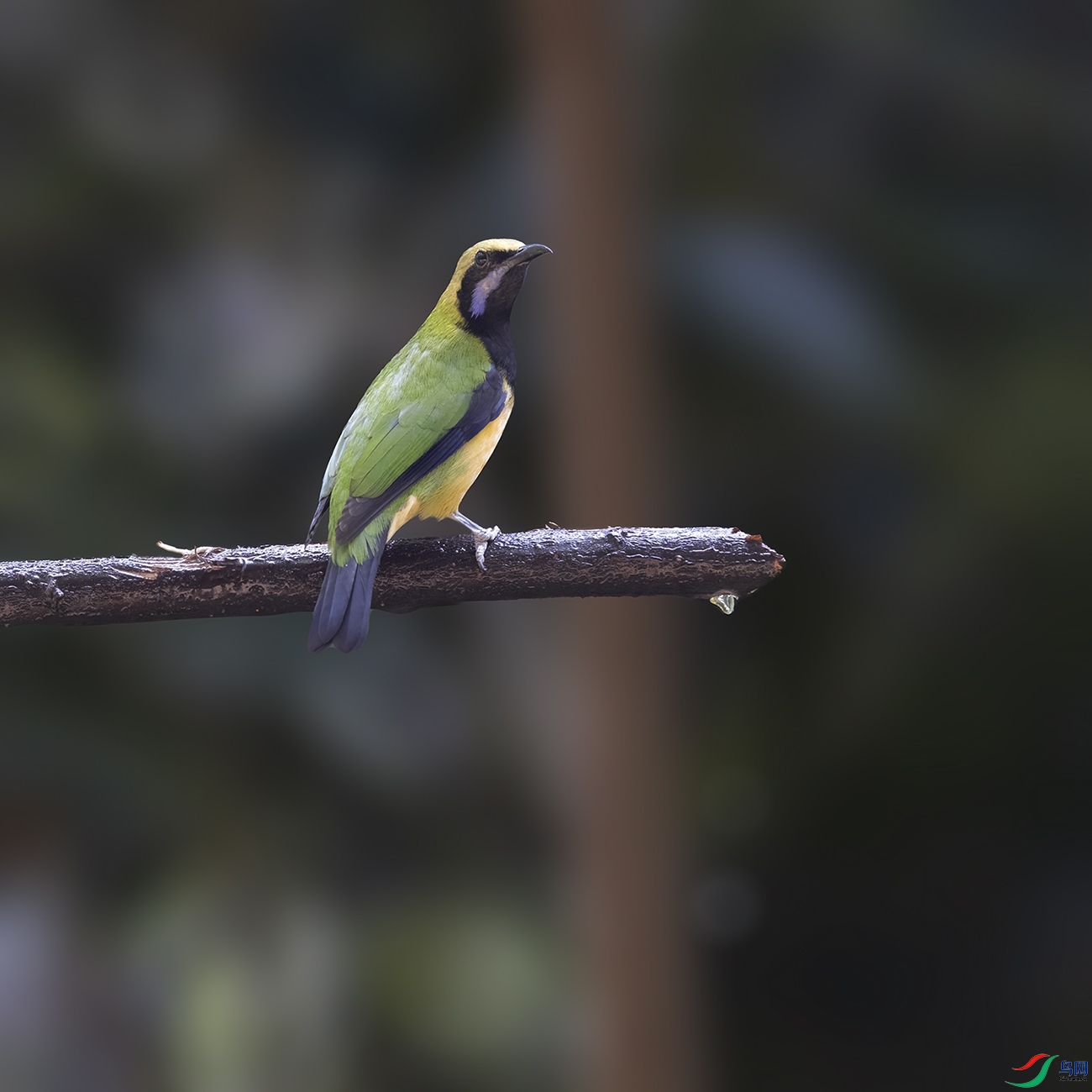 2F5A0829 ����.jpg2.jpg