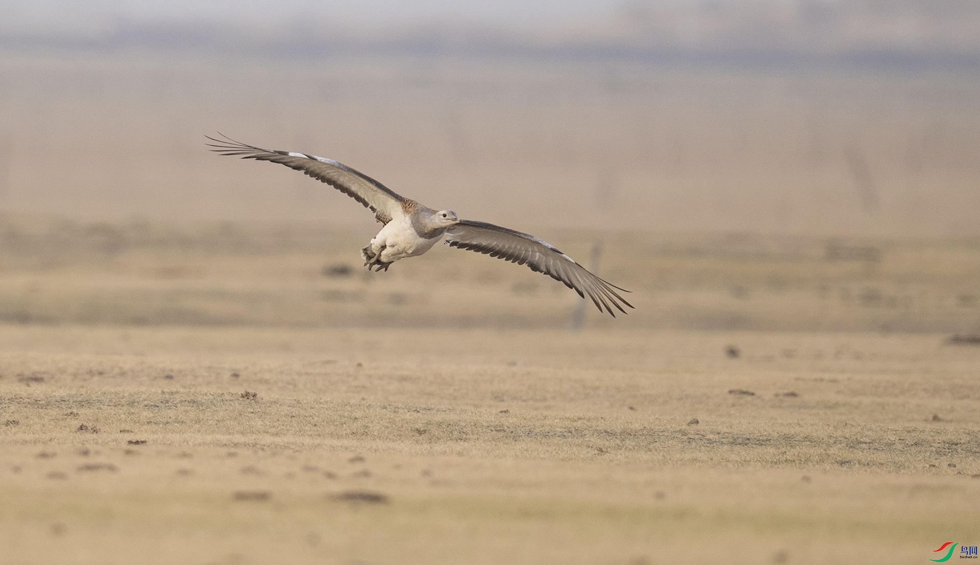 DSC_8055 ���.jpg