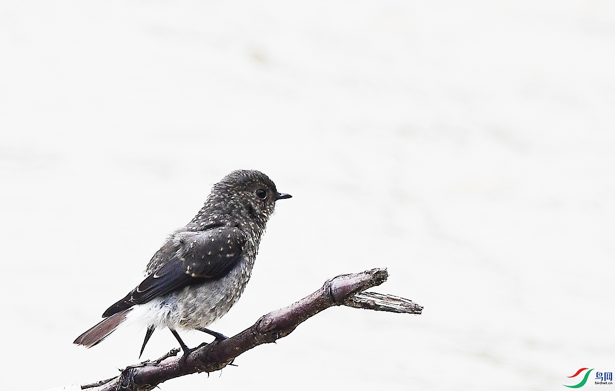 DSC_3351.JPG