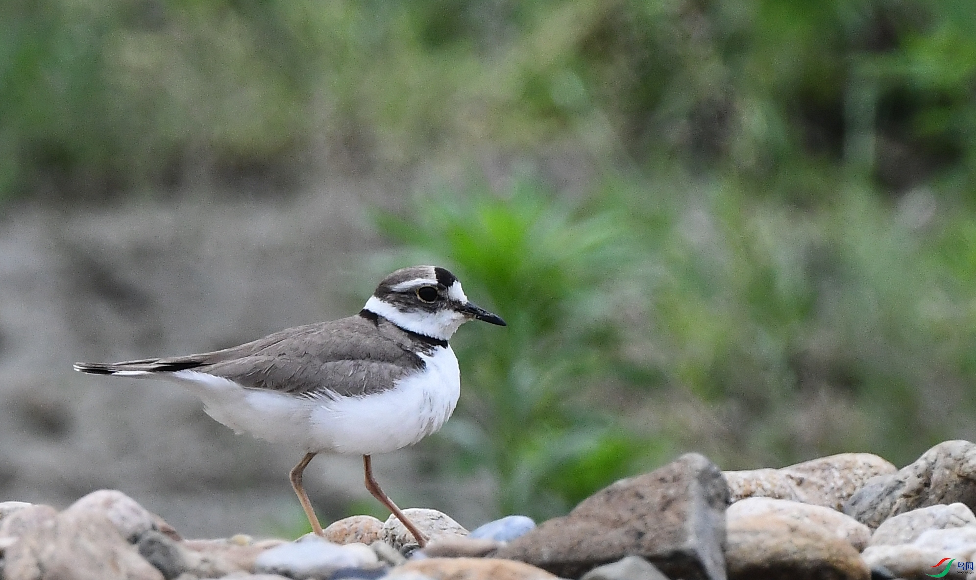 DSC_3081.JPG