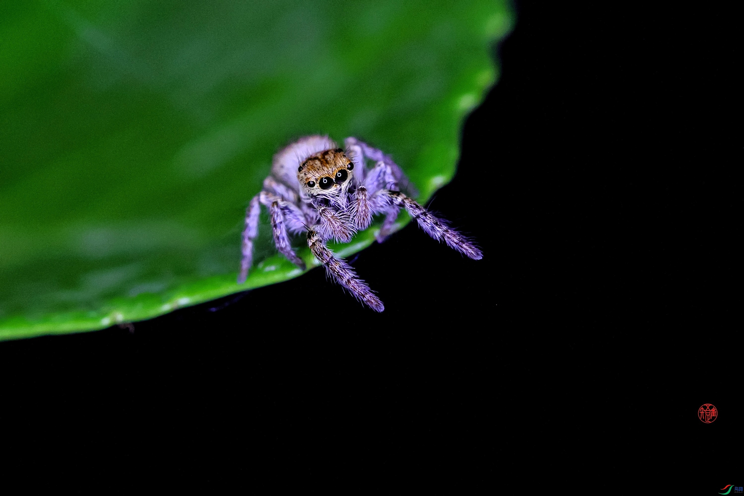 _23_6274 ����.jpg