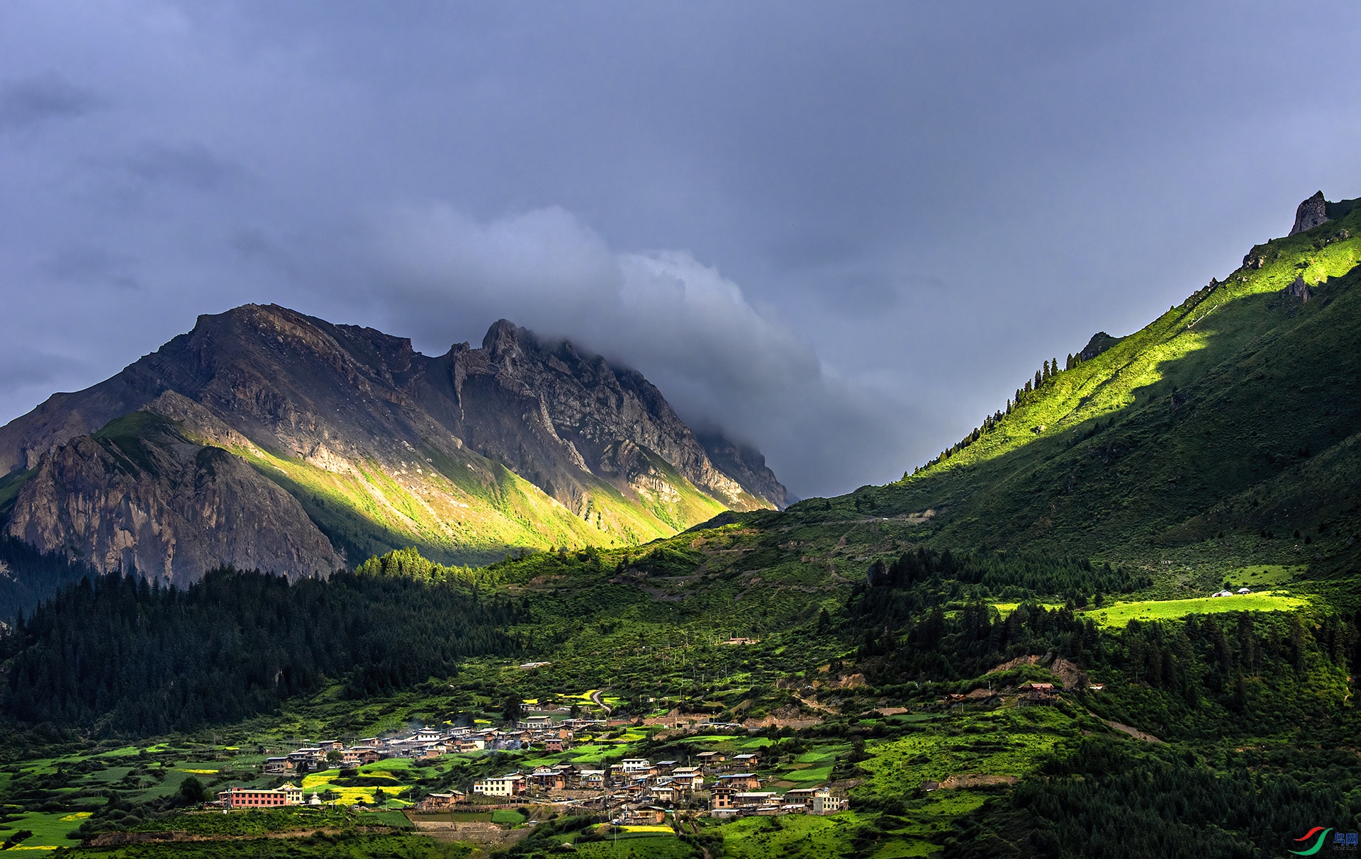 _DSC5813 - �����Ƿ��.jpg