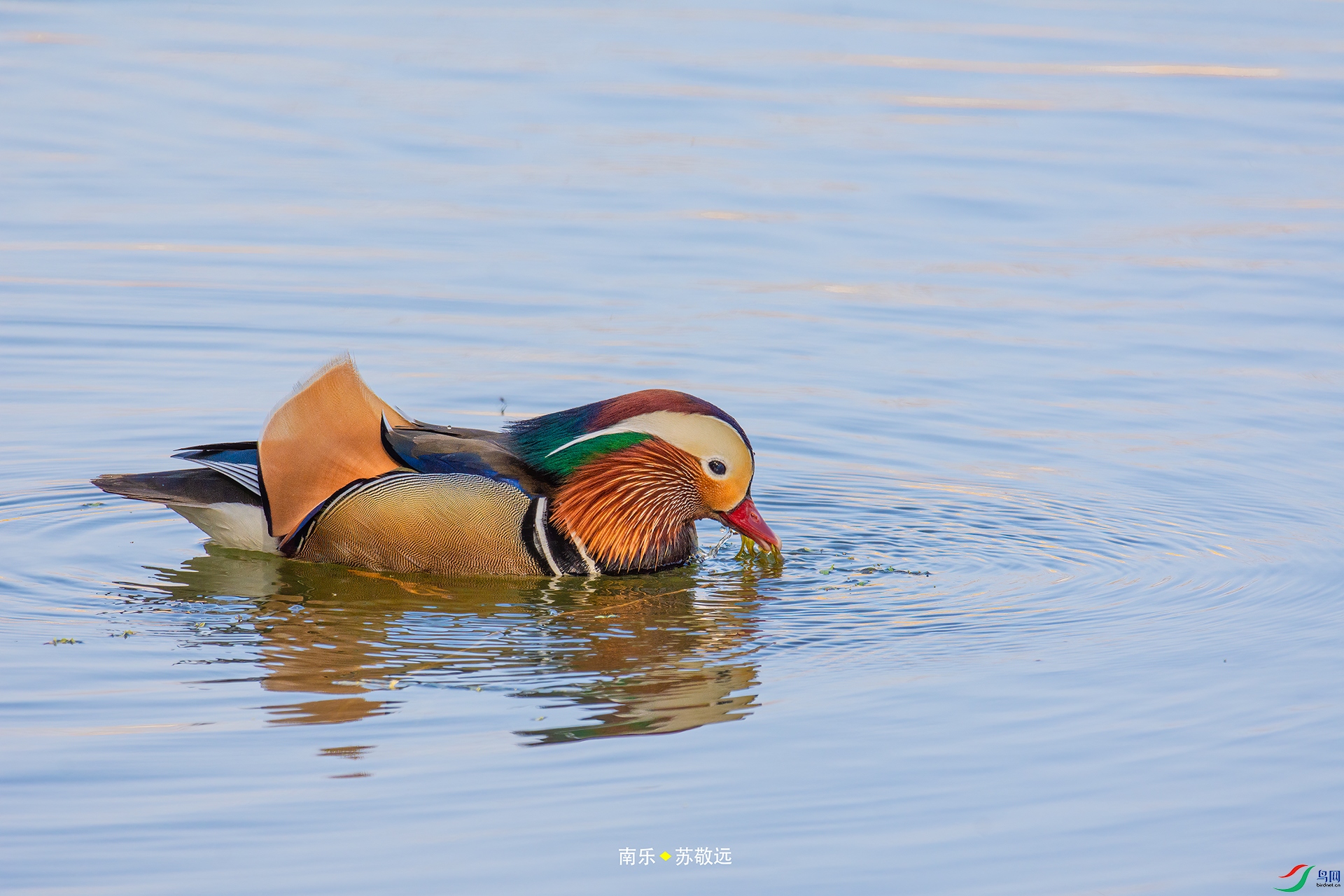 _DSC4952С.jpg