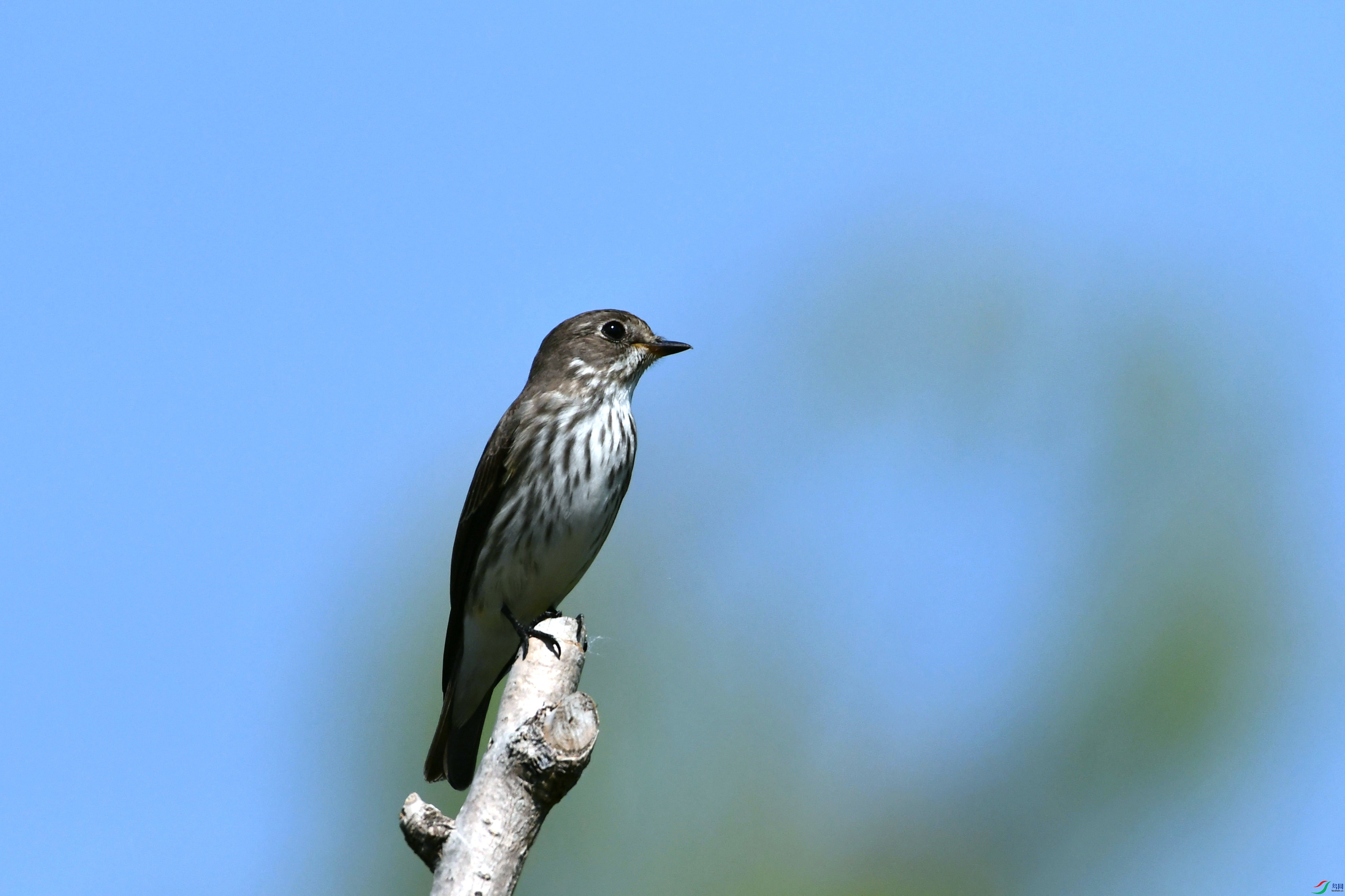 DSC_7822.JPG