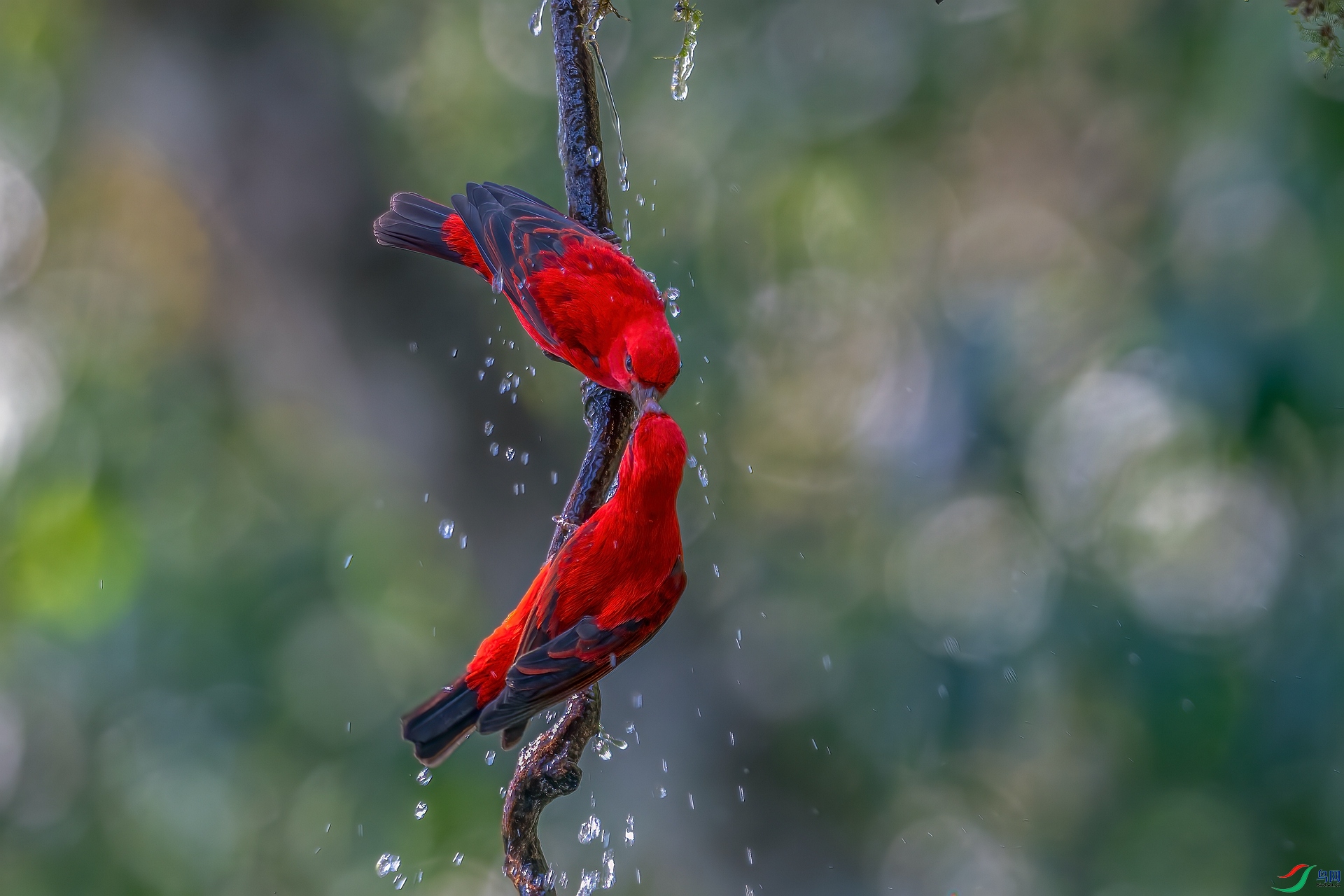 _DSC3748-1_����.jpg