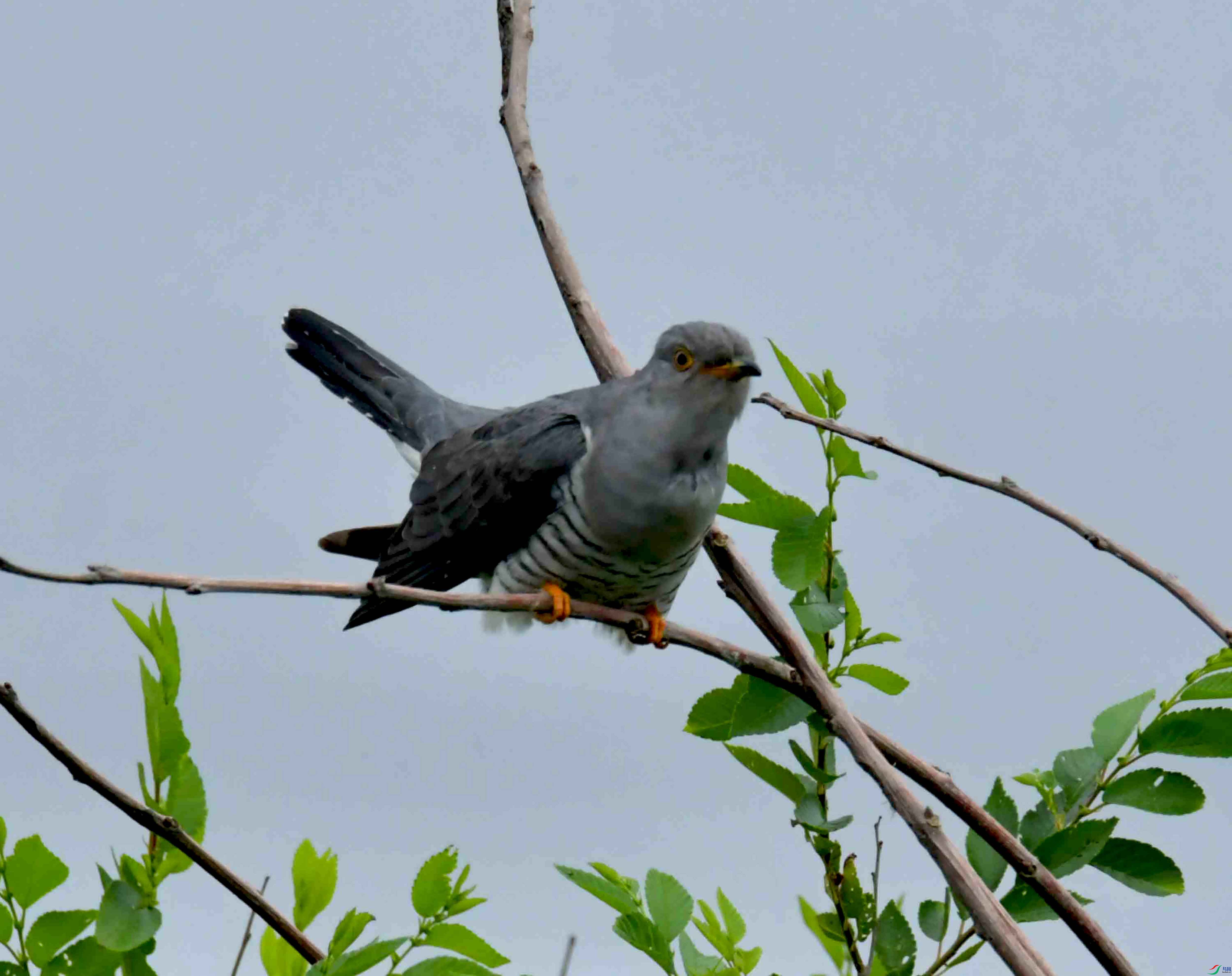 DSC_9491.JPG