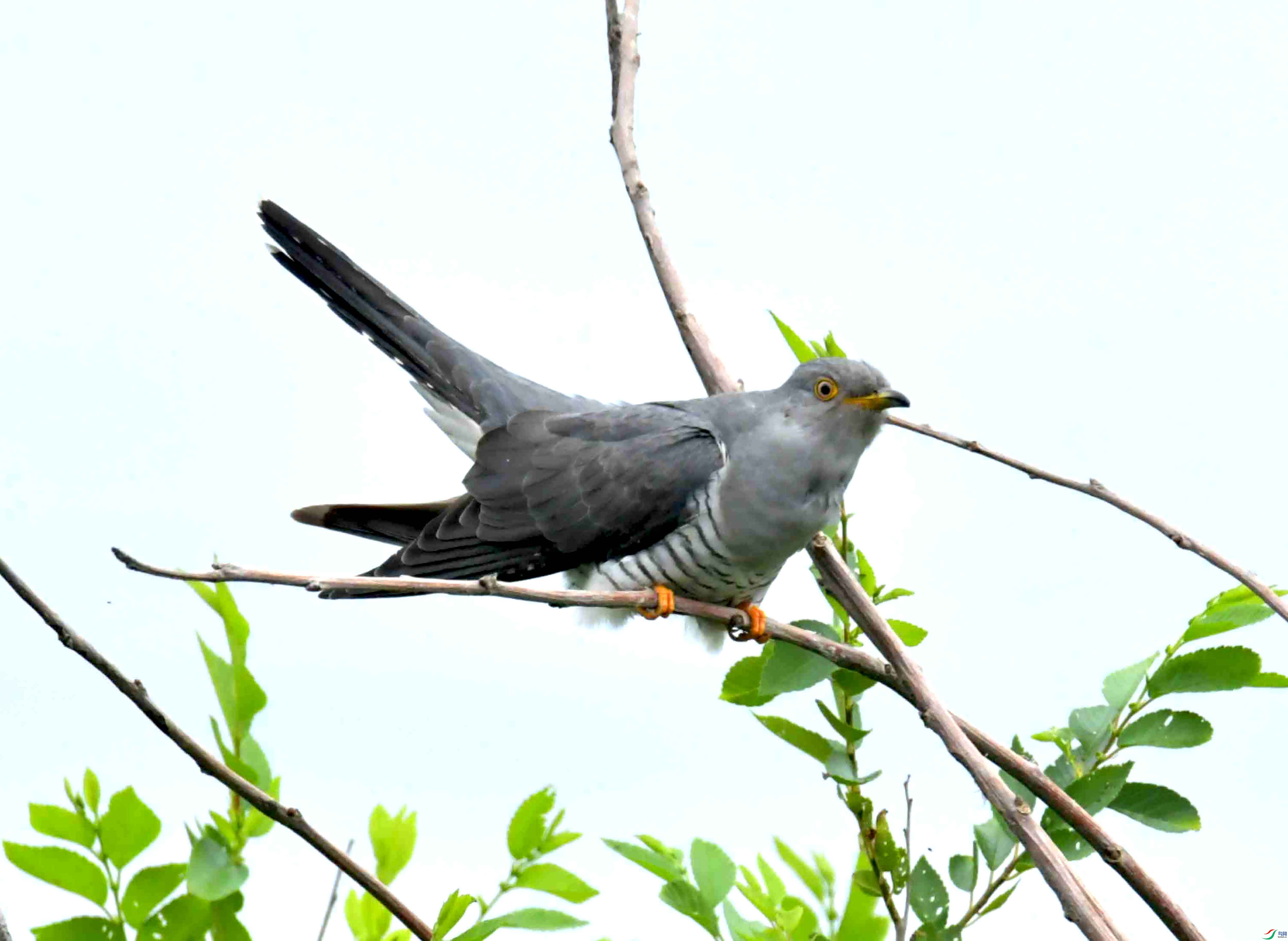DSC_9508.JPG