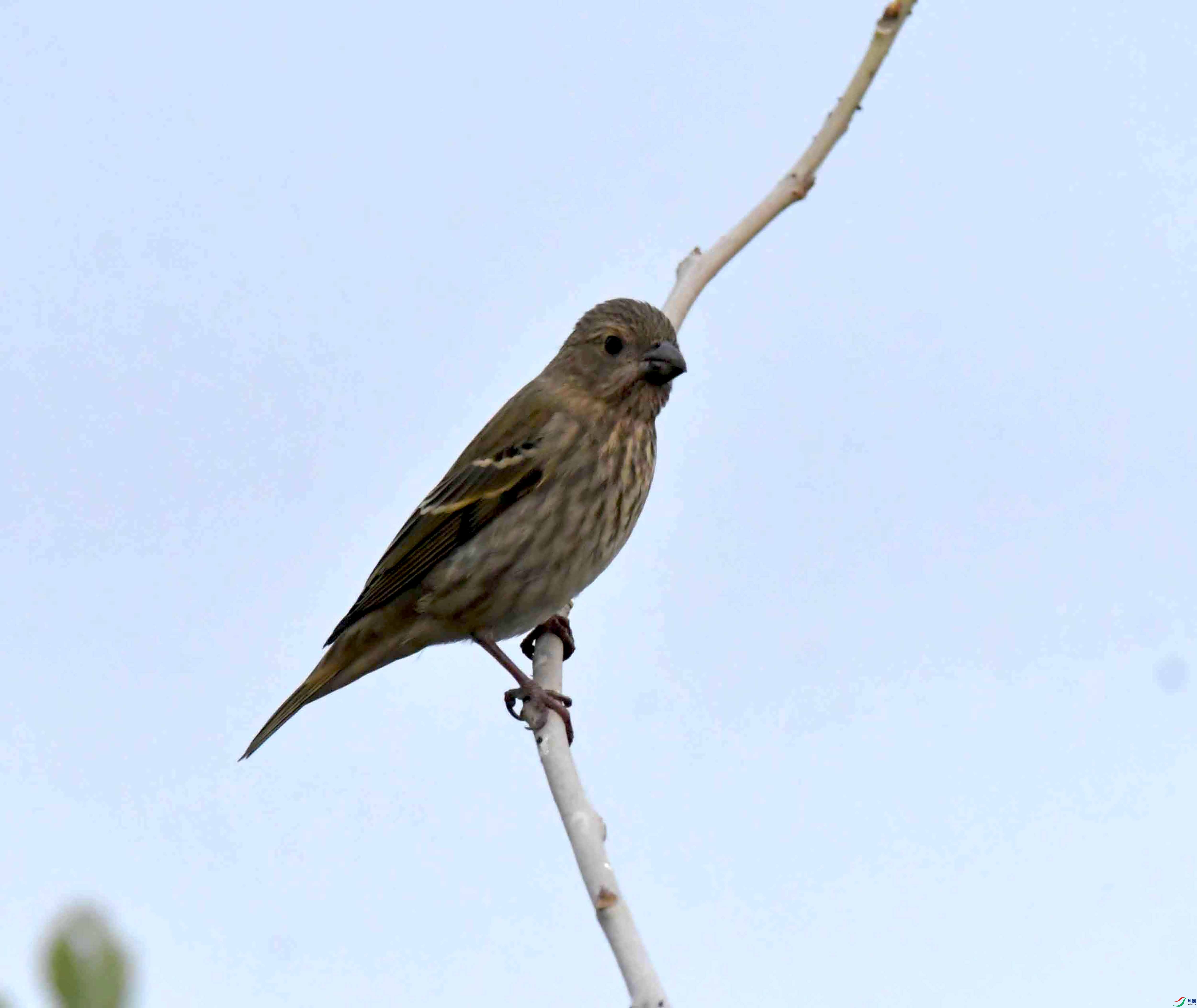 DSC_7646.JPG