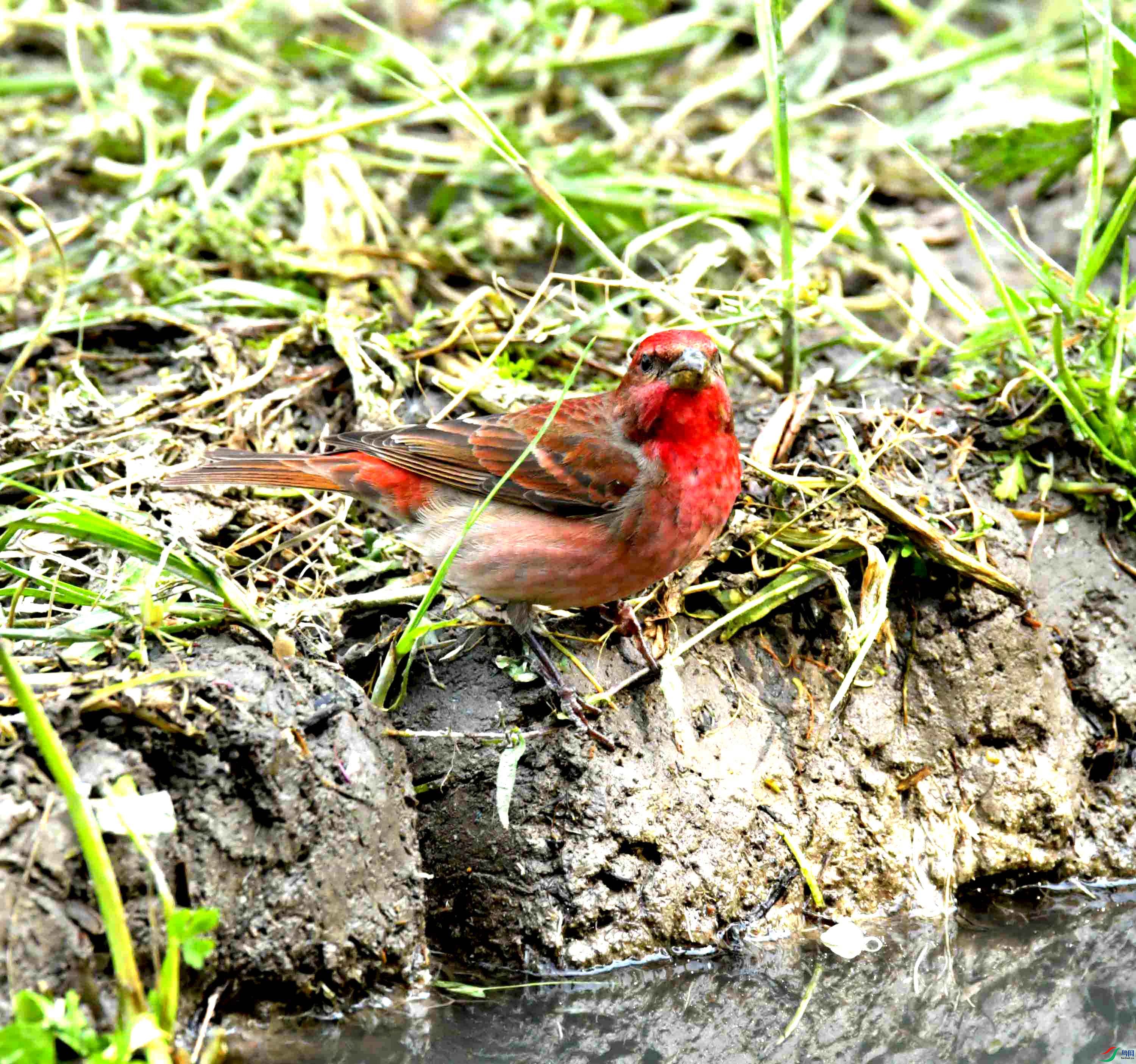 DSC_8727.JPG